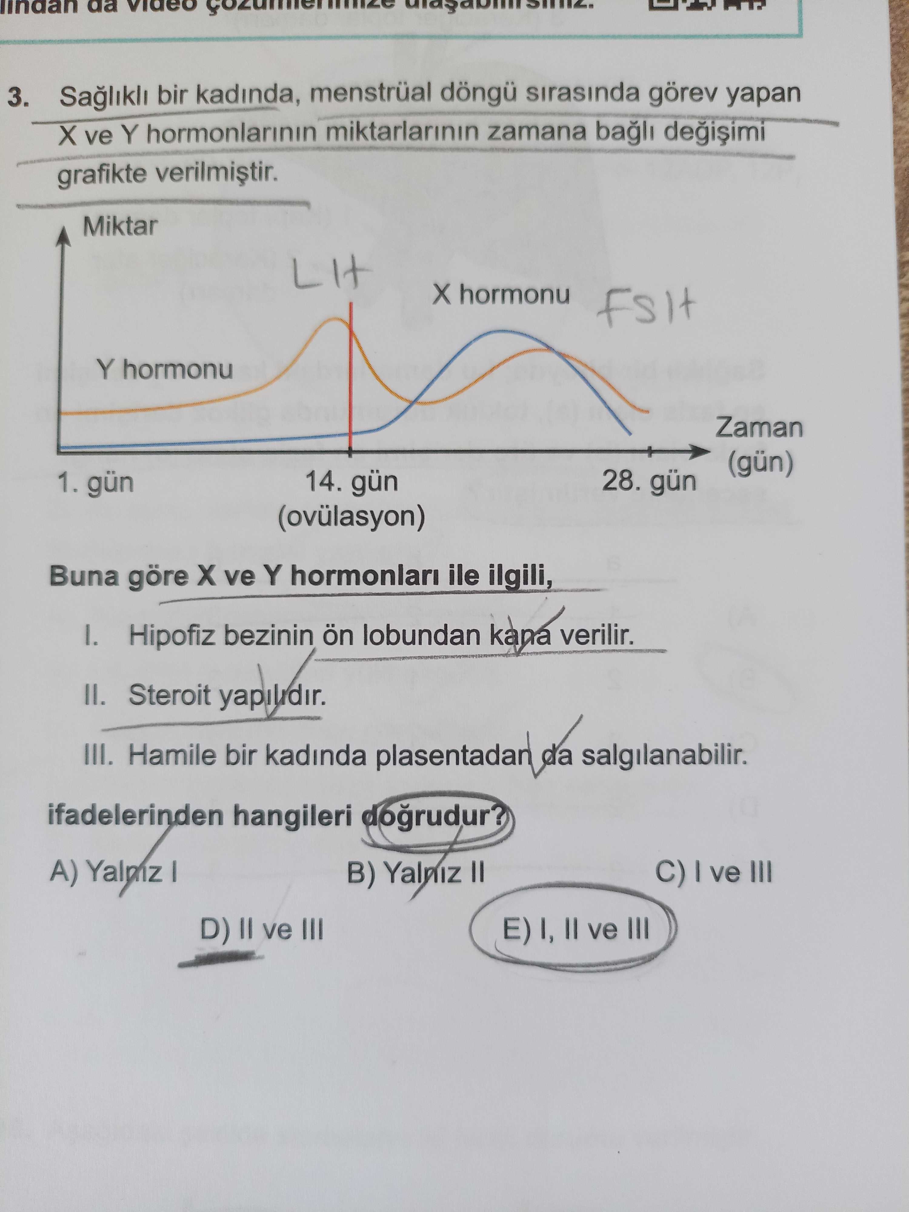 Sağlıklı bir kadında, menstrüal döngü sırasında görev yapan X ve Y hormonlarının miktarlarının