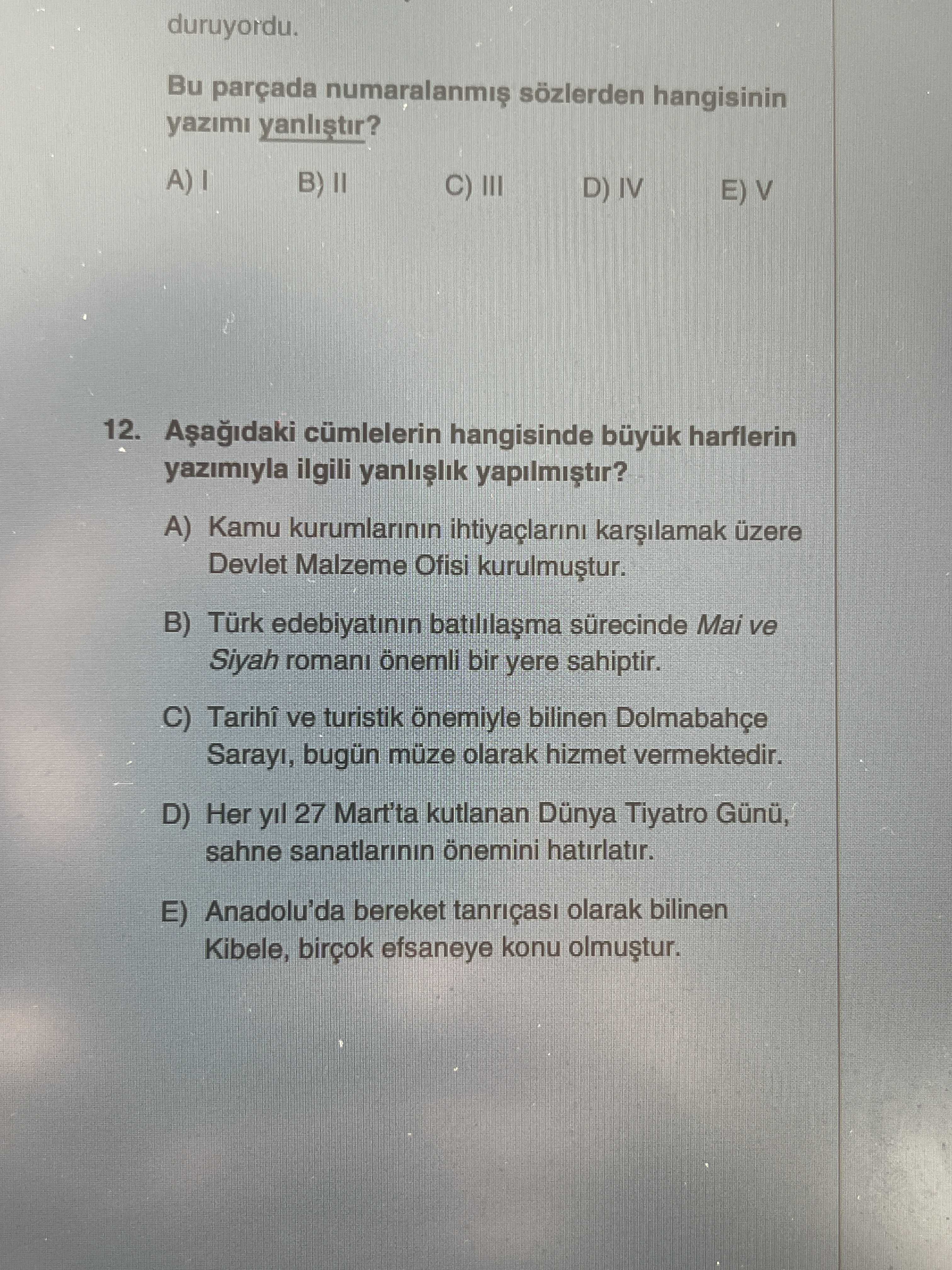 Aşağıdaki cümlelerin hangisinde büyük harflerin yazımıyla ilgili yanlışlık yapılmıştır?