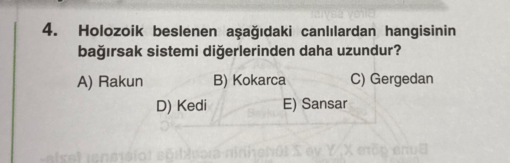Holozoik beslenen aşağıdaki canlılardan hangisinin bağırsak sistemi diğerlerinden daha uzundur?