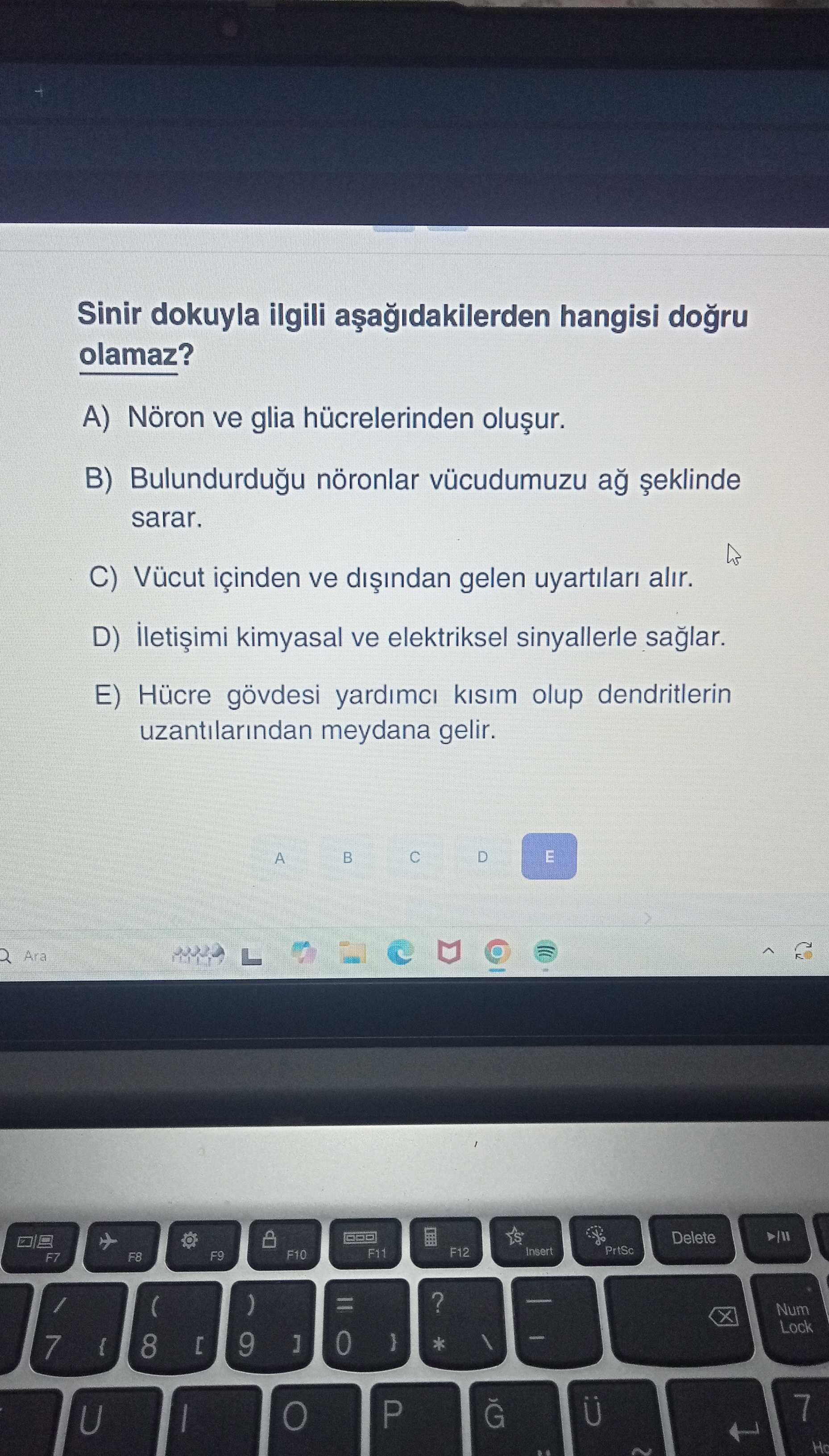 Biyoloji (12. Sınıf)