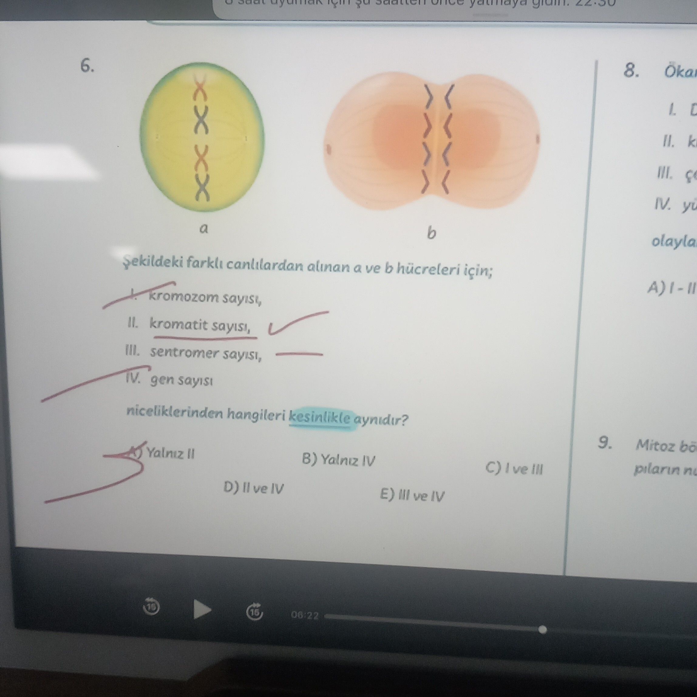 Şekildeki farklı canlılardan alınan a ve b hücreleri için; I. kromozom sayısı, II. kromatit sayısı