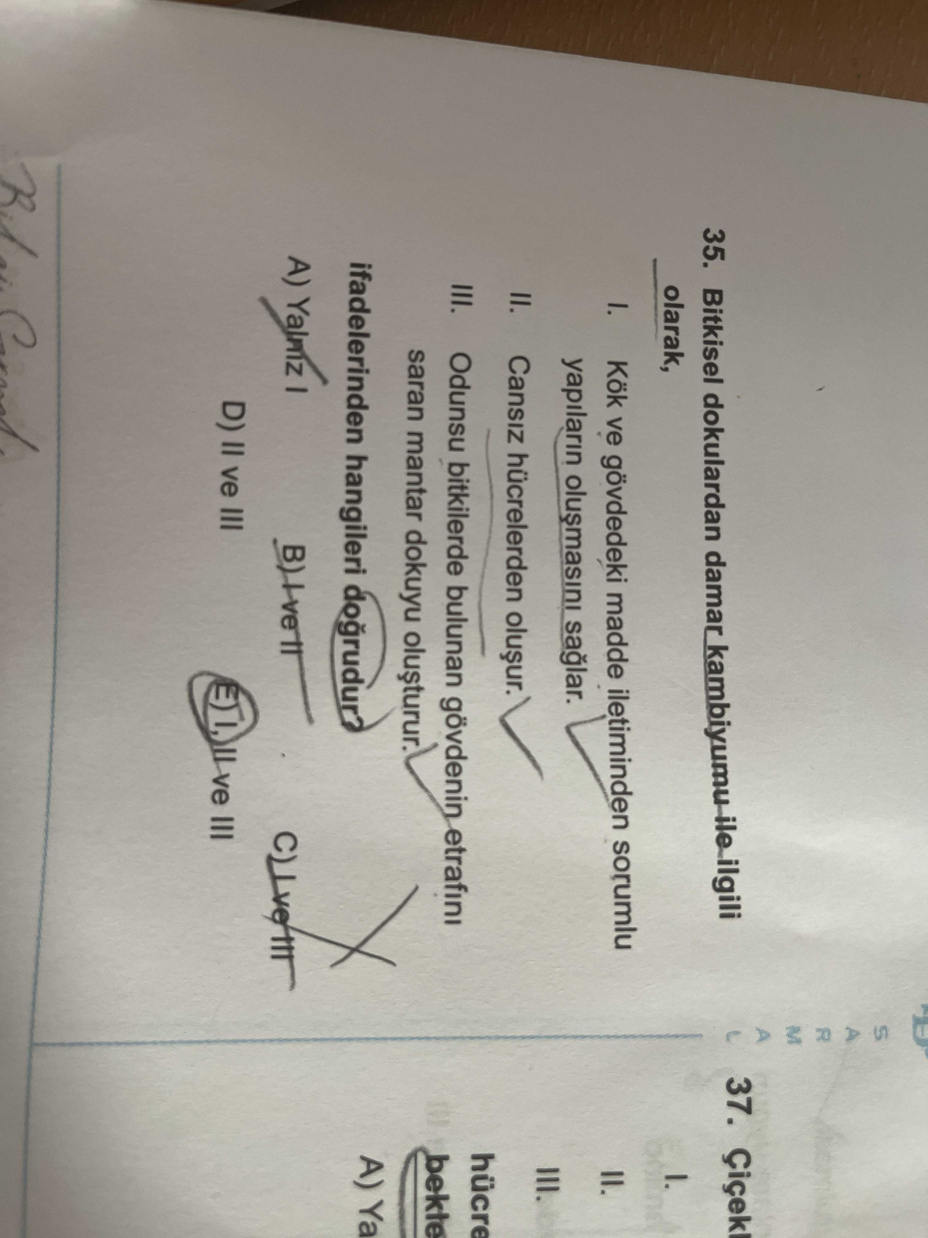 Bitkisel dokulardan damar kambiyumu ile ilgili olarak, I. Kök ve gövdedeki madde iletiminden sorumlu