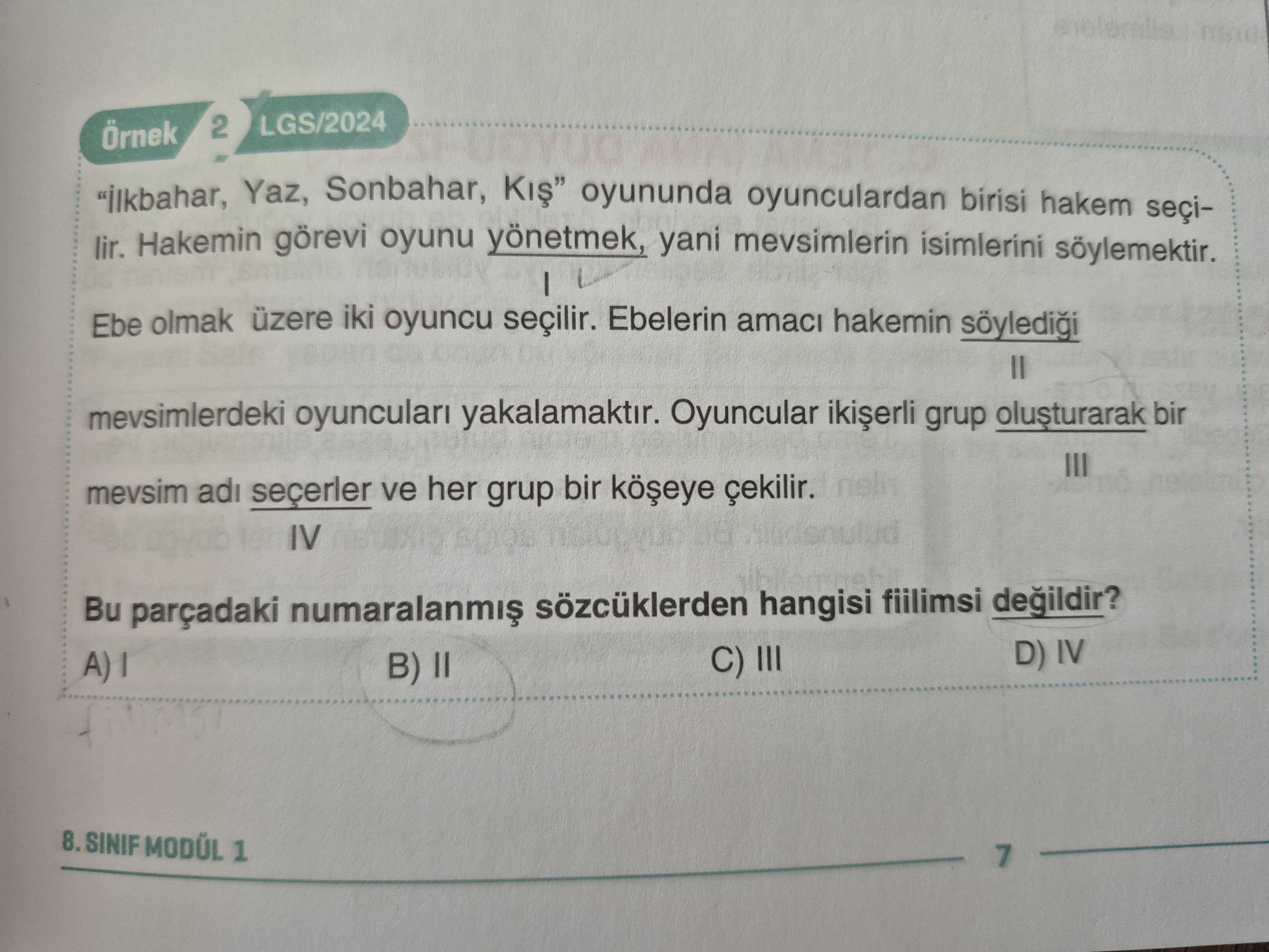 Türkçe (8. Sınıf)