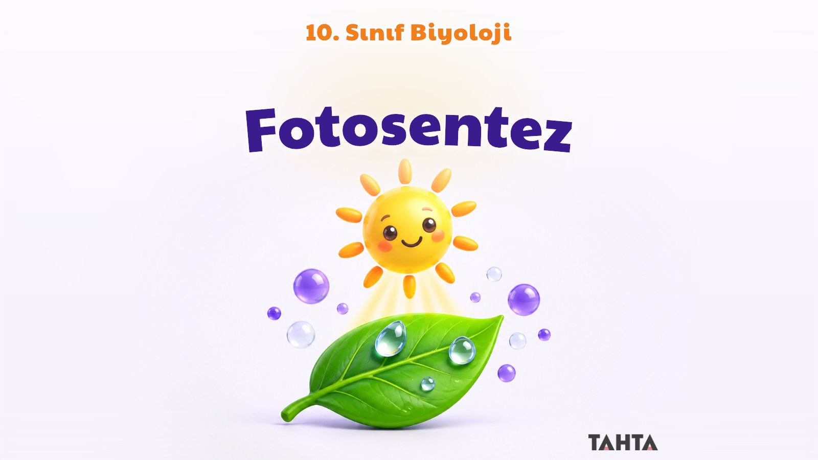 10. Sınıf Biyoloji Işık Enerjisi Kullanılarak Besin Sentezi: Fotosentez Konu Anlatımı