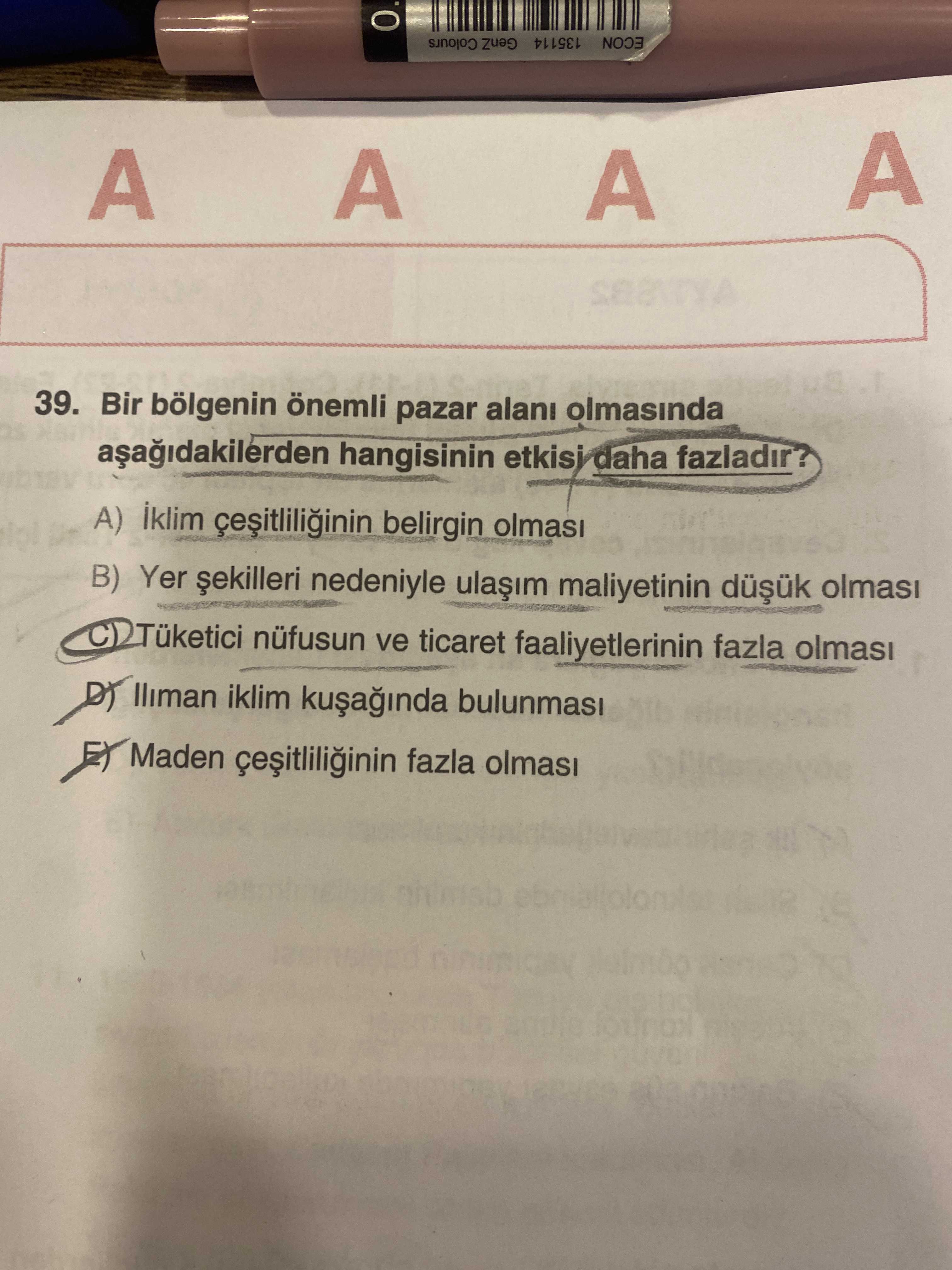 Bir bölgenin önemli pazar alanı olmasında aşağıdakilerden hangisinin etkisi daha fazladır?