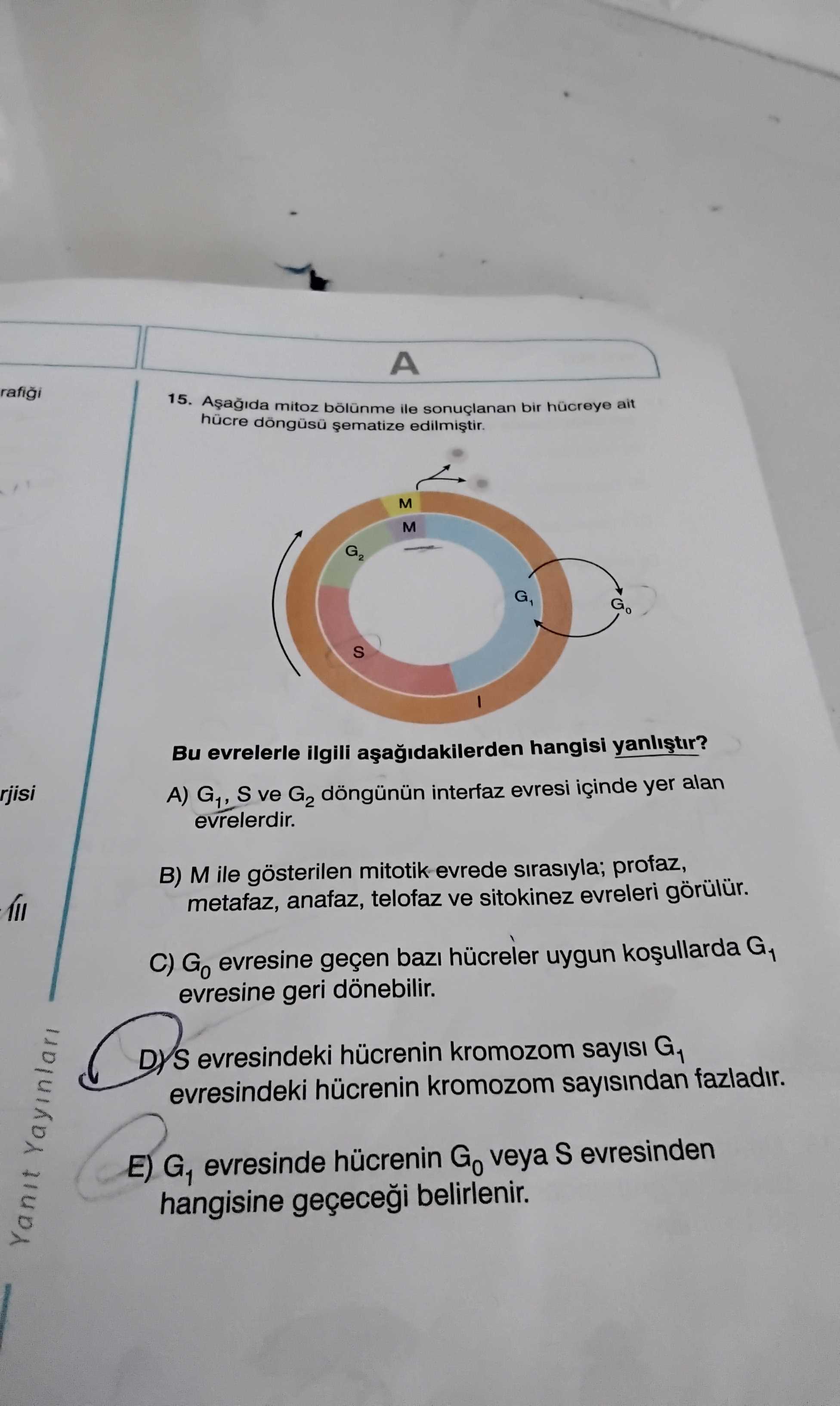 Aşağıda mitoz bölünme ile sonuçlanan bir hücreye ait hücre döngüsü şematize edilmiştir. Bu evrelerle