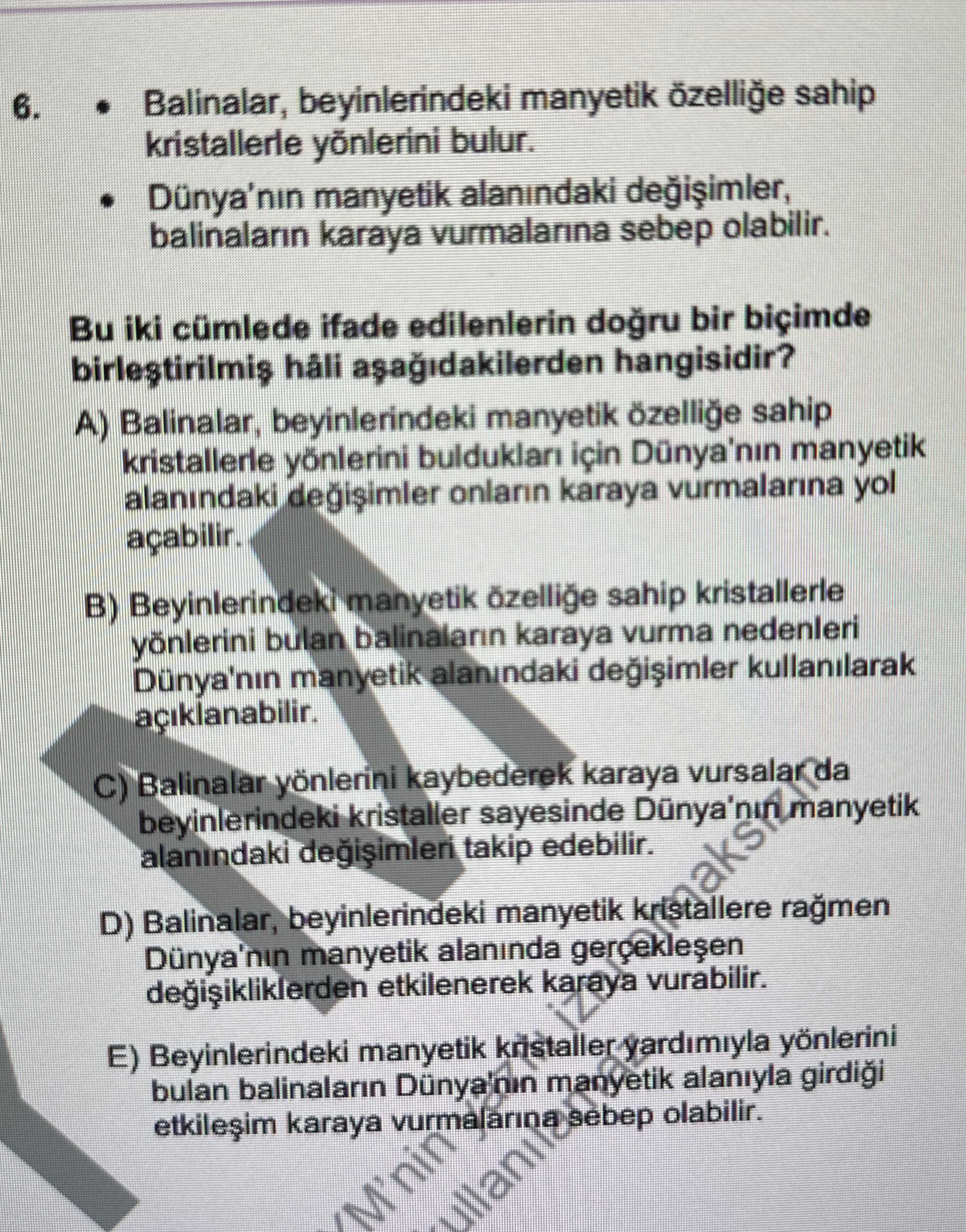 • Balinalar, beyinlerindeki manyetik özelliğe sahip kristallerle yönlerini bulur. • Dünya'nın