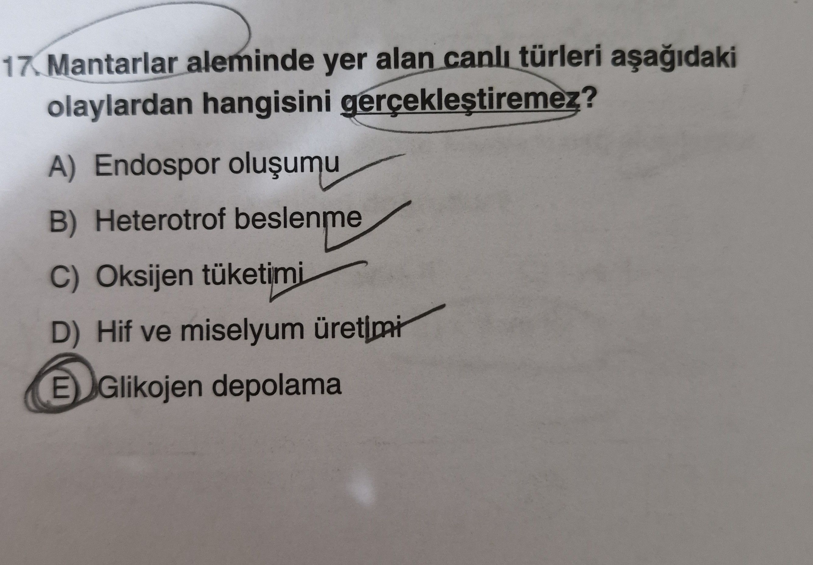 Mantarlar aleminde yer alan canlı türleri aşağıdaki olaylardan hangisini gerçekleştiremez?