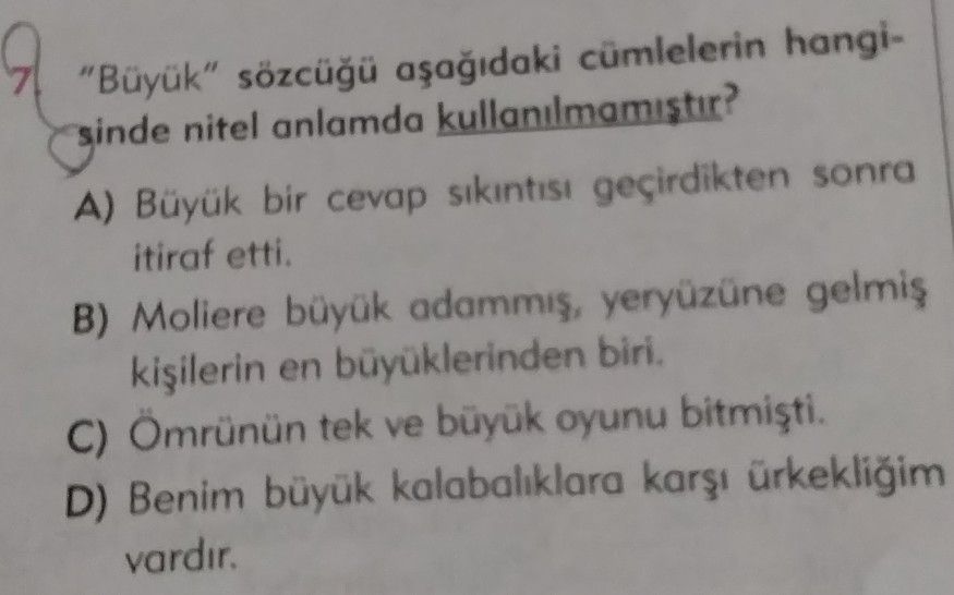 "Büyük" sözcüğü aşağıdaki cümlelerin hangisinde nitel anlamda kullanılmamıştır?