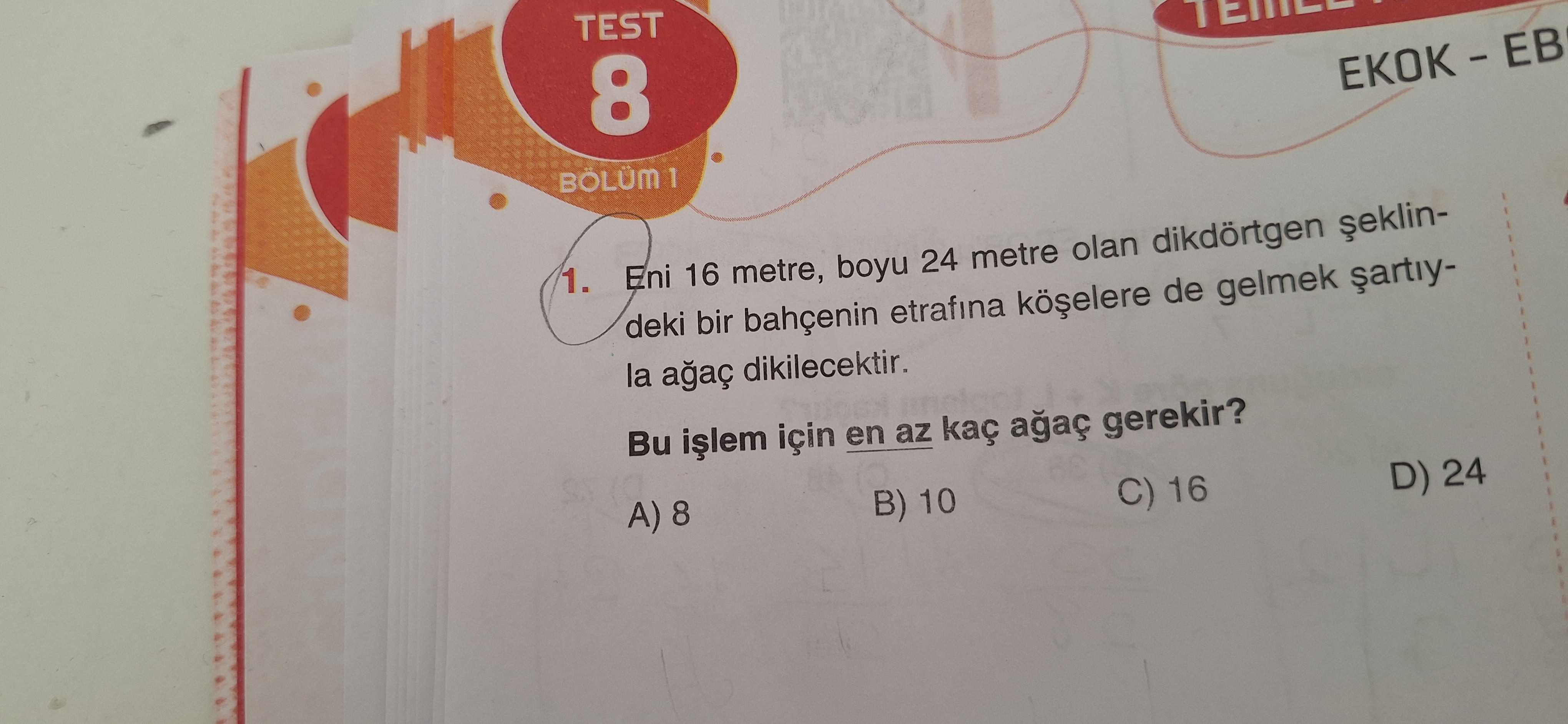 Matematik (8. Sınıf)