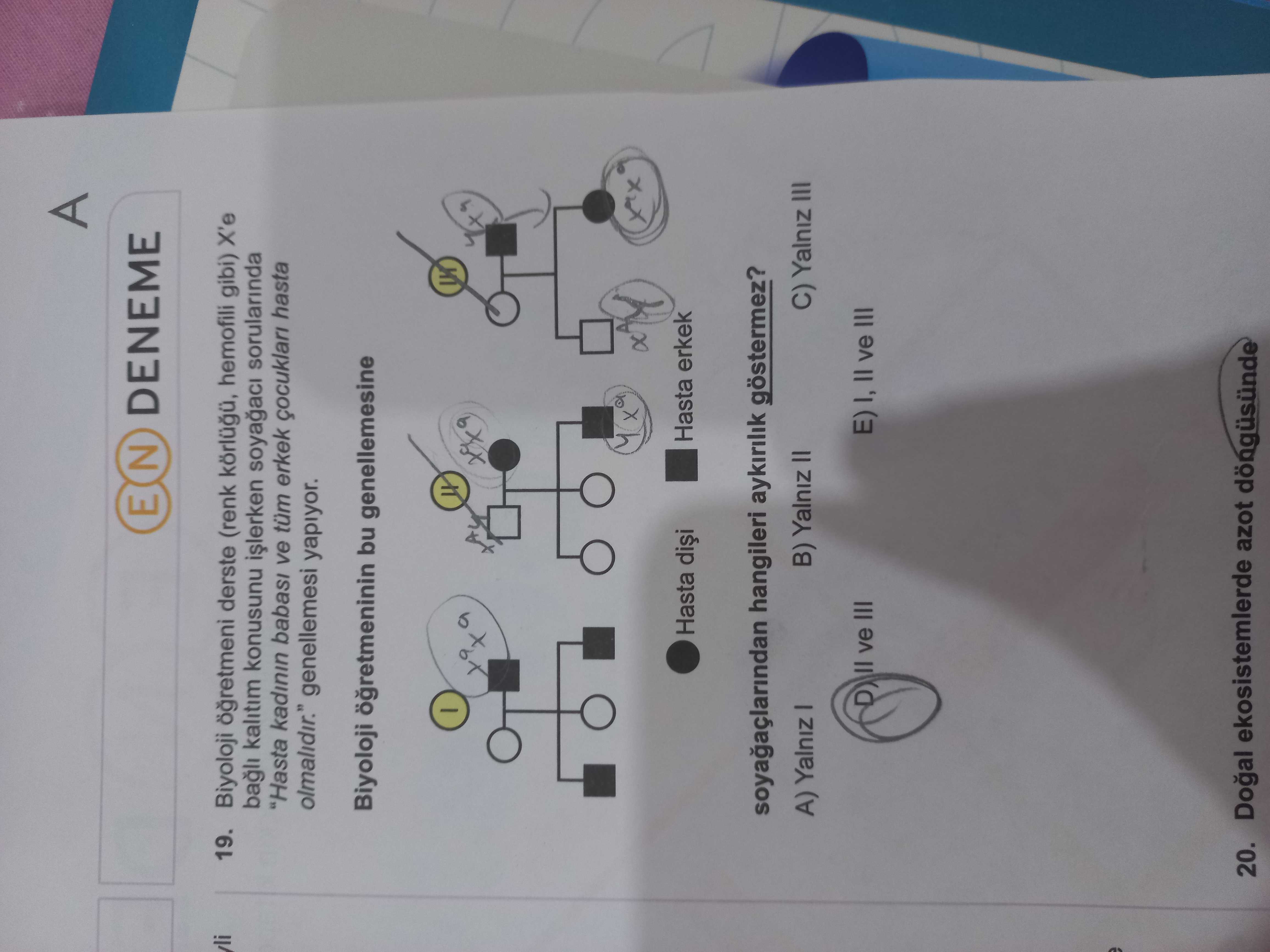A E N DENEME li 19. Biyoloji derste (renk hemofili gibi) X'e bagli kalitim konusunu sorularinda \ , genellemesi yapiyor. Biyoloji bu genellemesine Hasta erkek Hasta soyagaçlarindan hangileri aykirilik göstermez. B) Yalniz II C) Yalniz III A) Yalniz ve III E) I, II ve III 20. ekosistemlerde azot döngüsünde A E N DENEME li 19. Biyoloji derste (renk hemofili gibi) X'e bagli kalitim konusunu sorularinda \ , , , , , , , genellemesi yapiyor. ekosistemlerde azot döngüsünde. ?? Model.Question.title