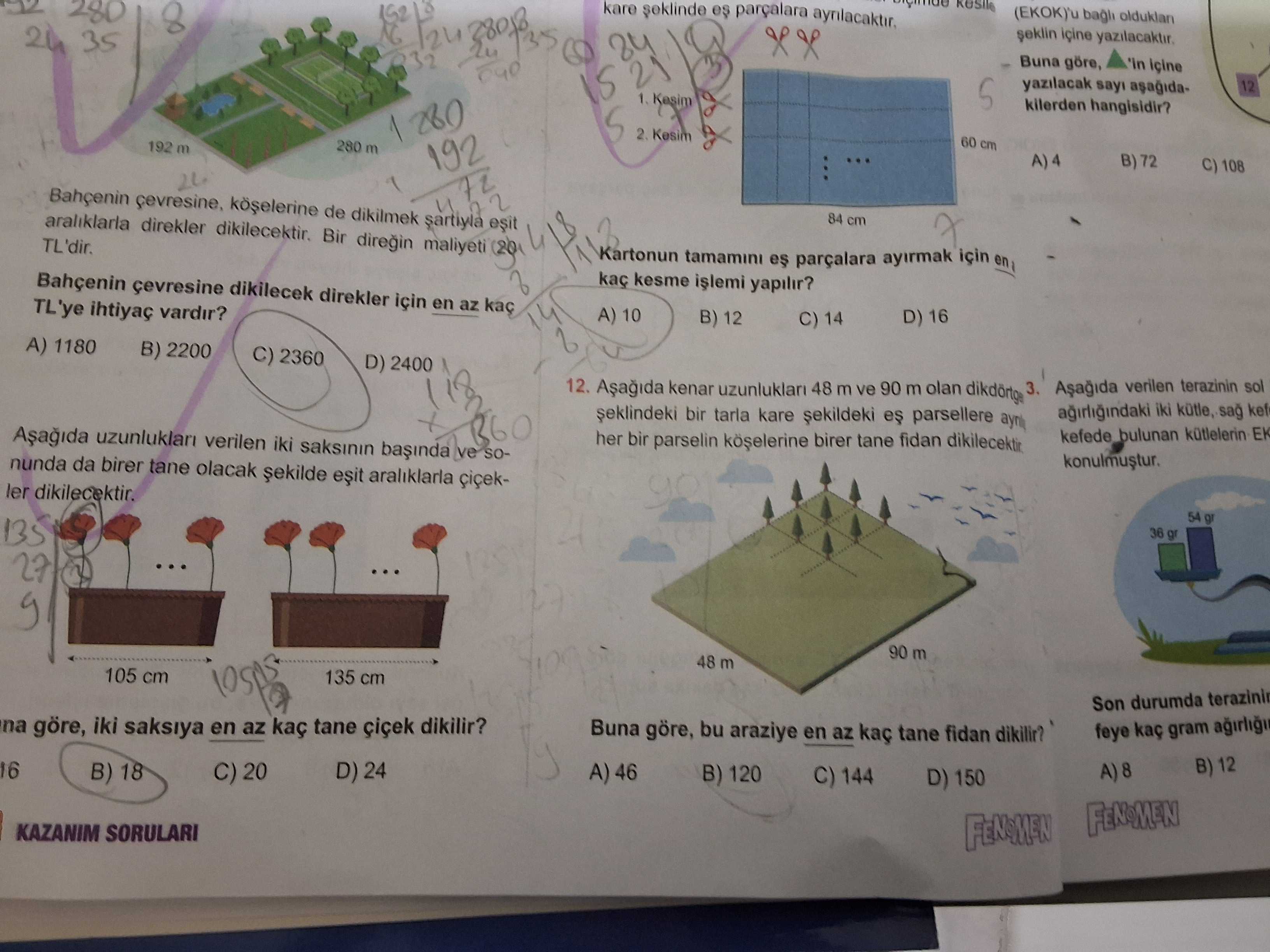 Matematik (8. Sınıf)