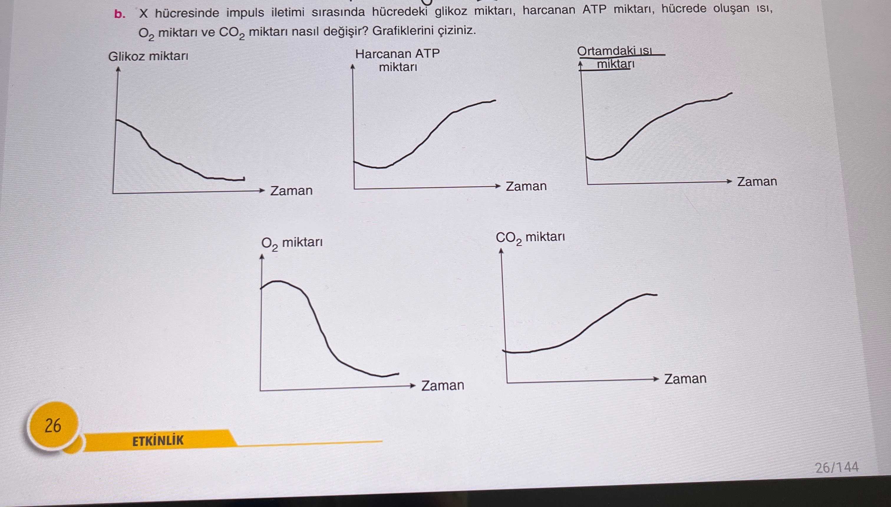 b. X hücresinde impuls iletimi sırasında hücredeki glikoz miktarı, harcanan ATP miktarı, hücrede