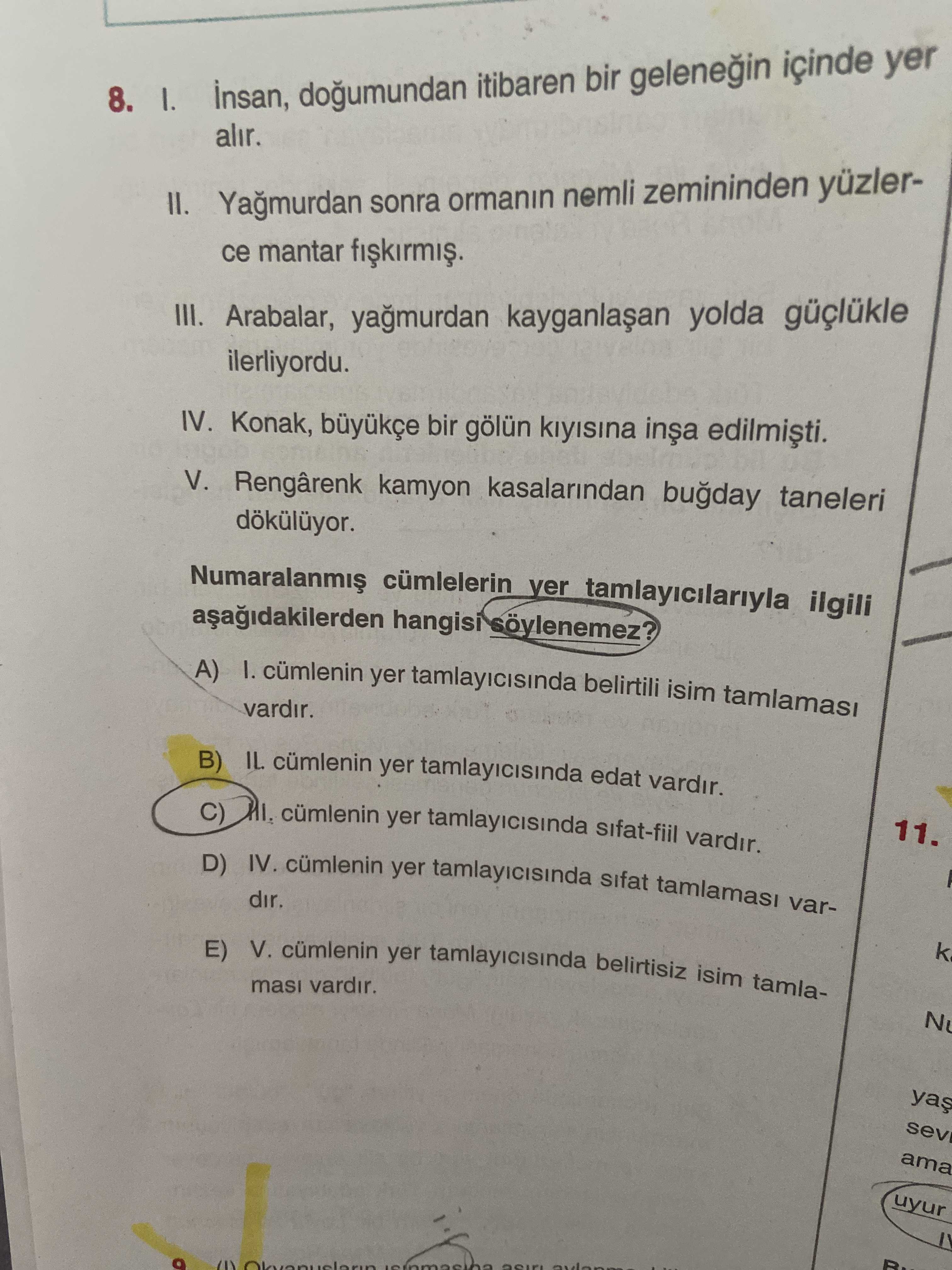 Türkçe (11. Sınıf)