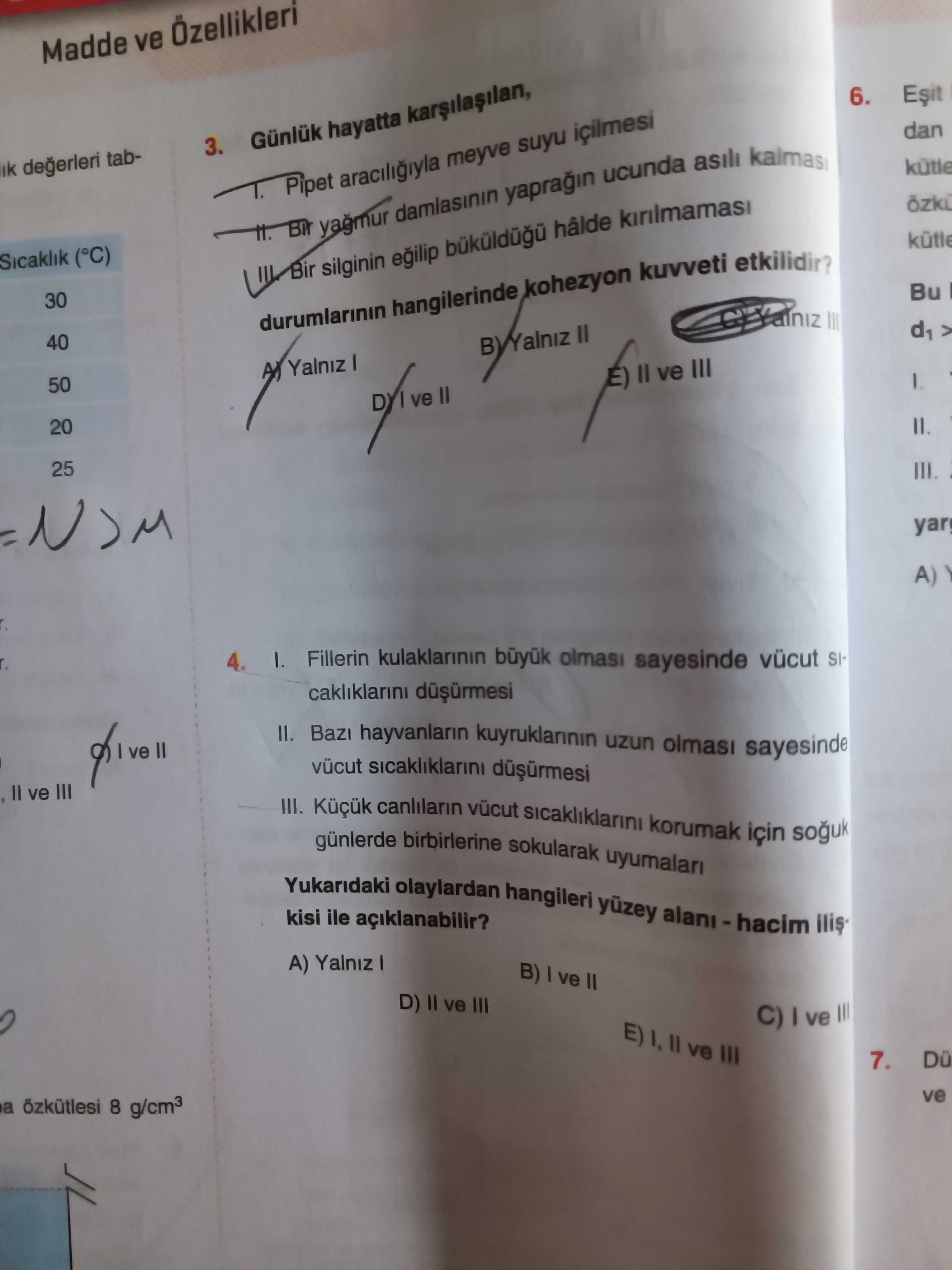 Fizik (Mezun)