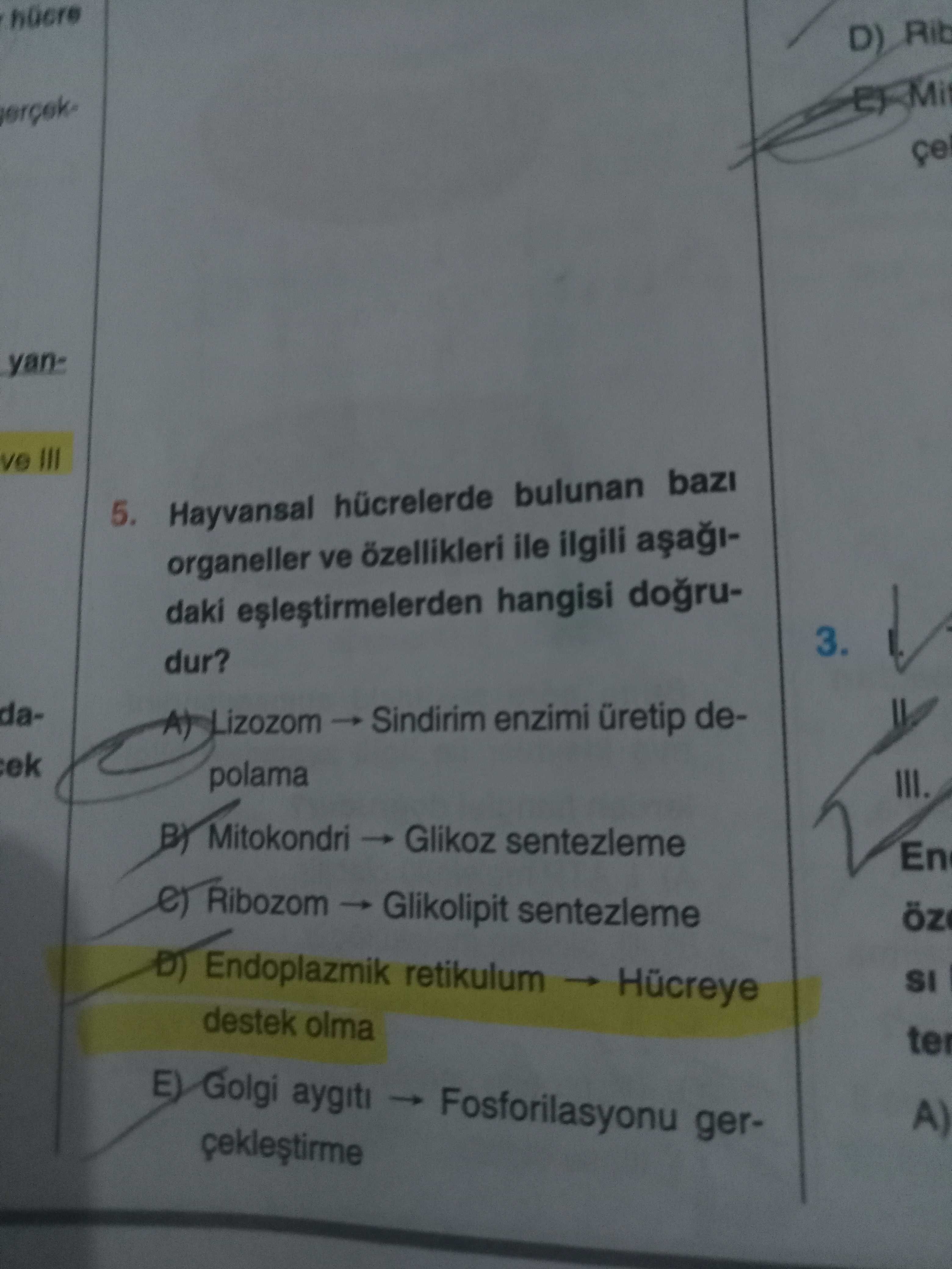 Biyoloji (12. Sınıf)
