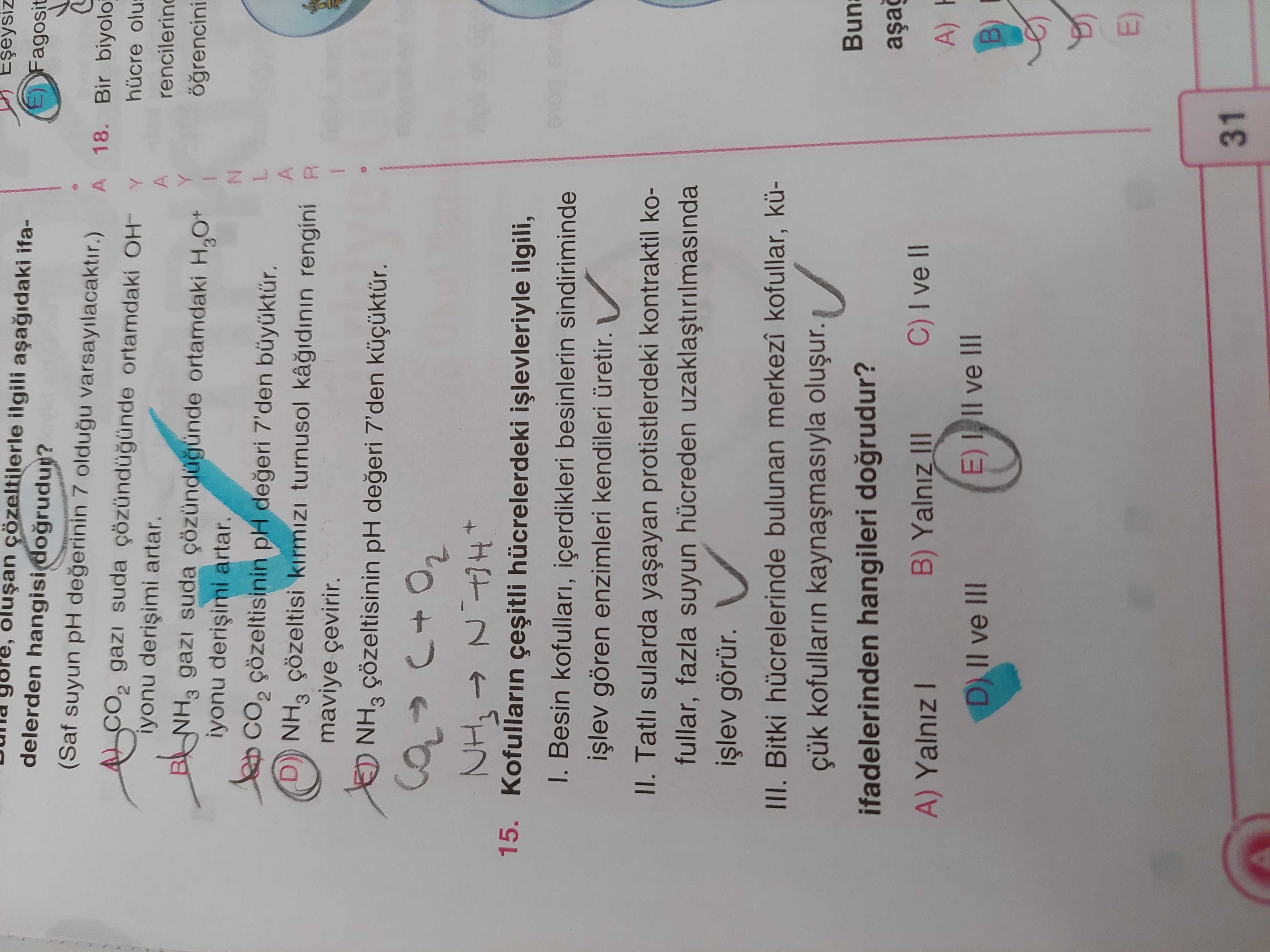 Kofulların çeşitli hücrelerdeki işlevleriyle ilgili, I. Besin kofulları, içerdikleri besinlerin