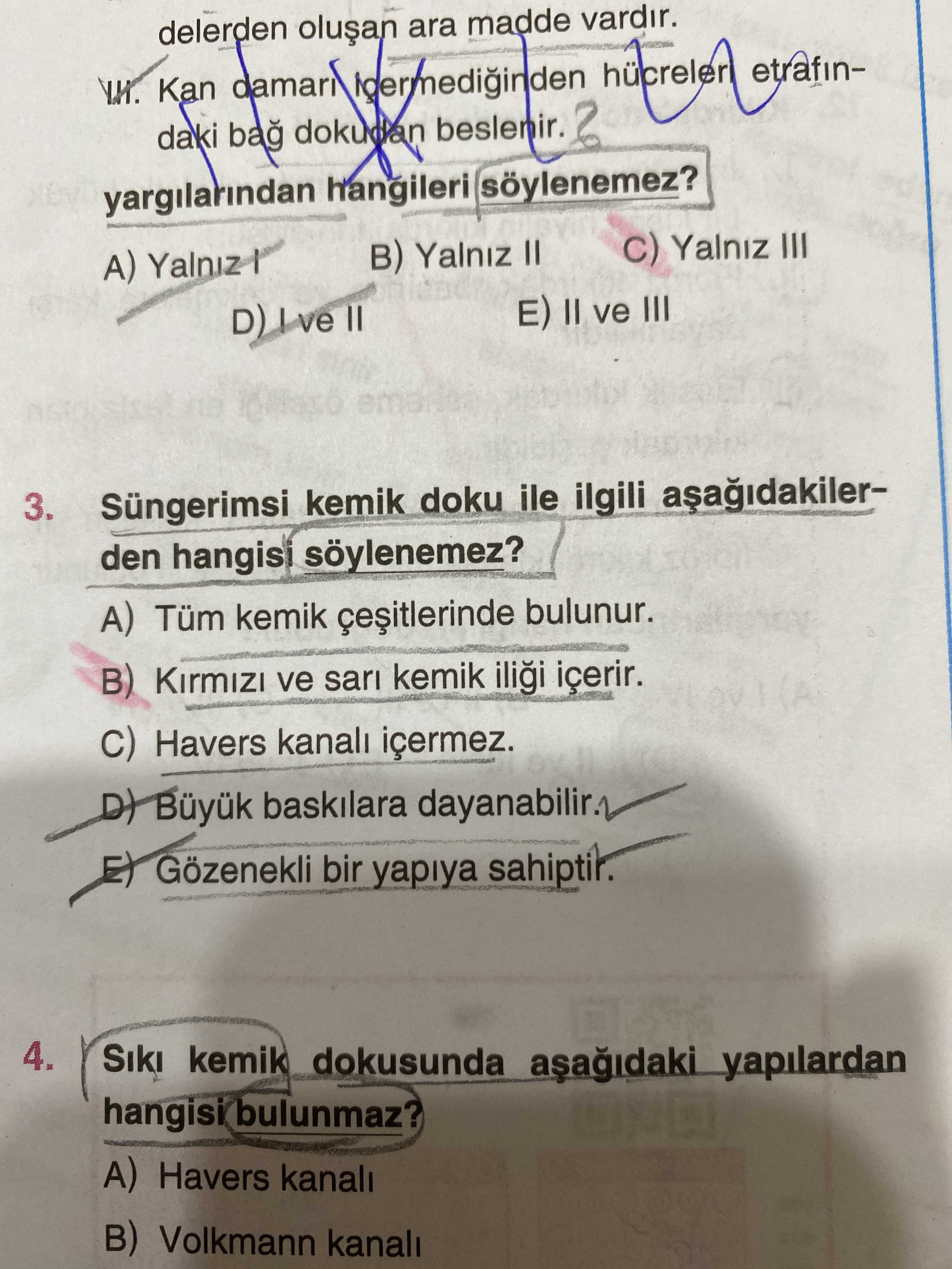 Süngerimsi kemik doku ile ilgili aşağıdakilerden hangisi söylenemez?