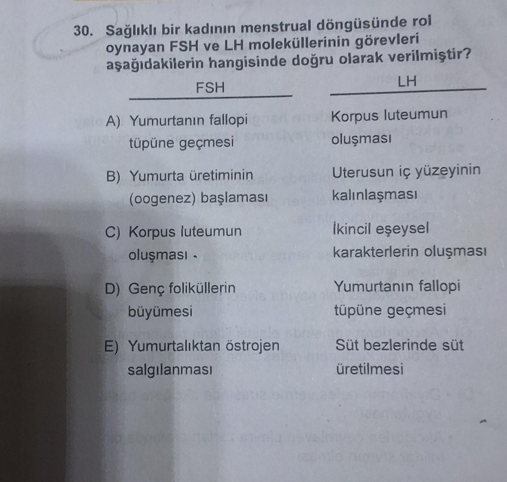 Sağlıklı bir kadının menstrual döngüsünde rol oynayan FSH ve LH moleküllerinin görevleri