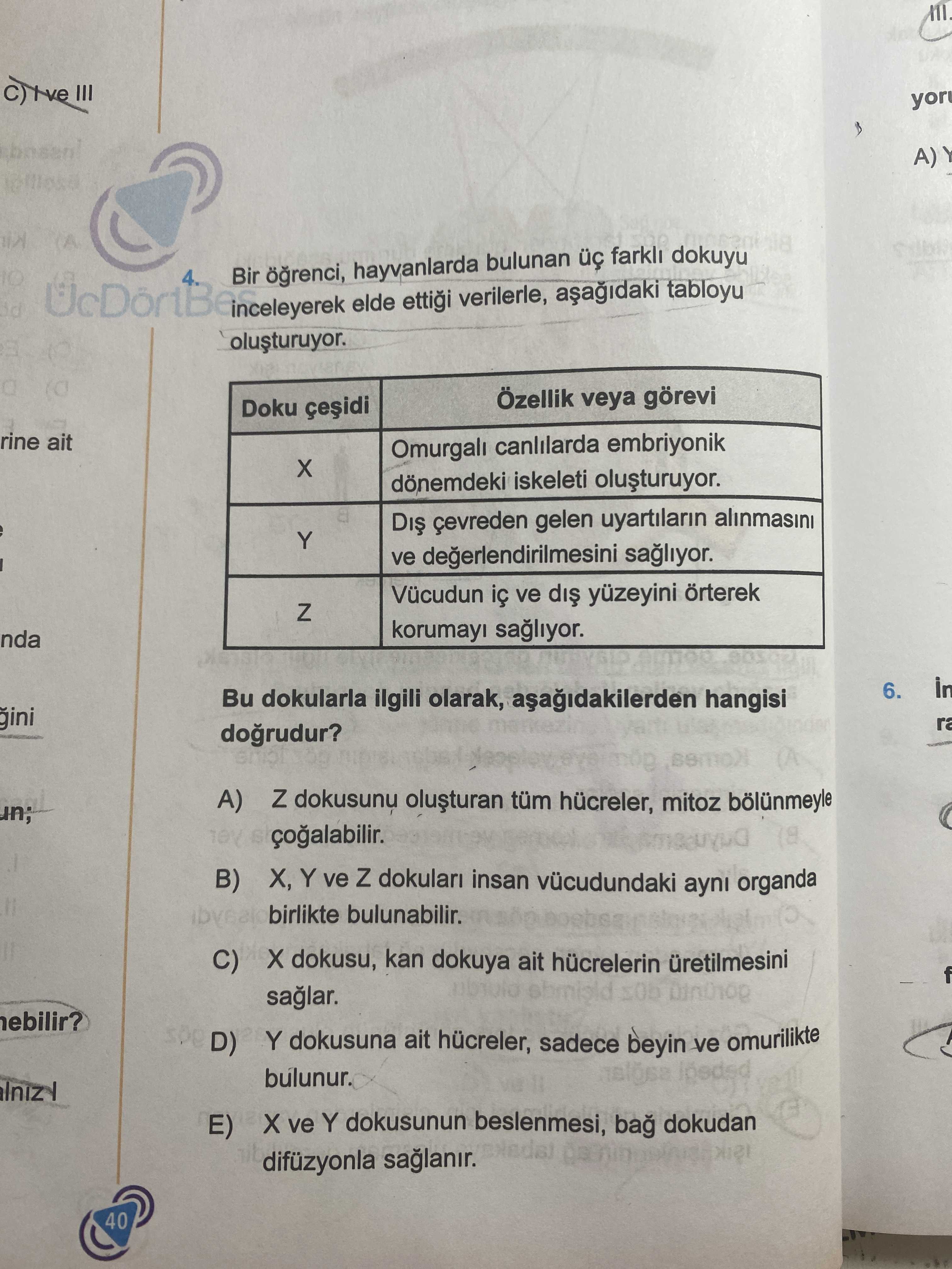 Bir öğrenci, hayvanlarda bulunan üç farklı dokuyu inceleyerek elde ettiği verilerle, aşağıdaki