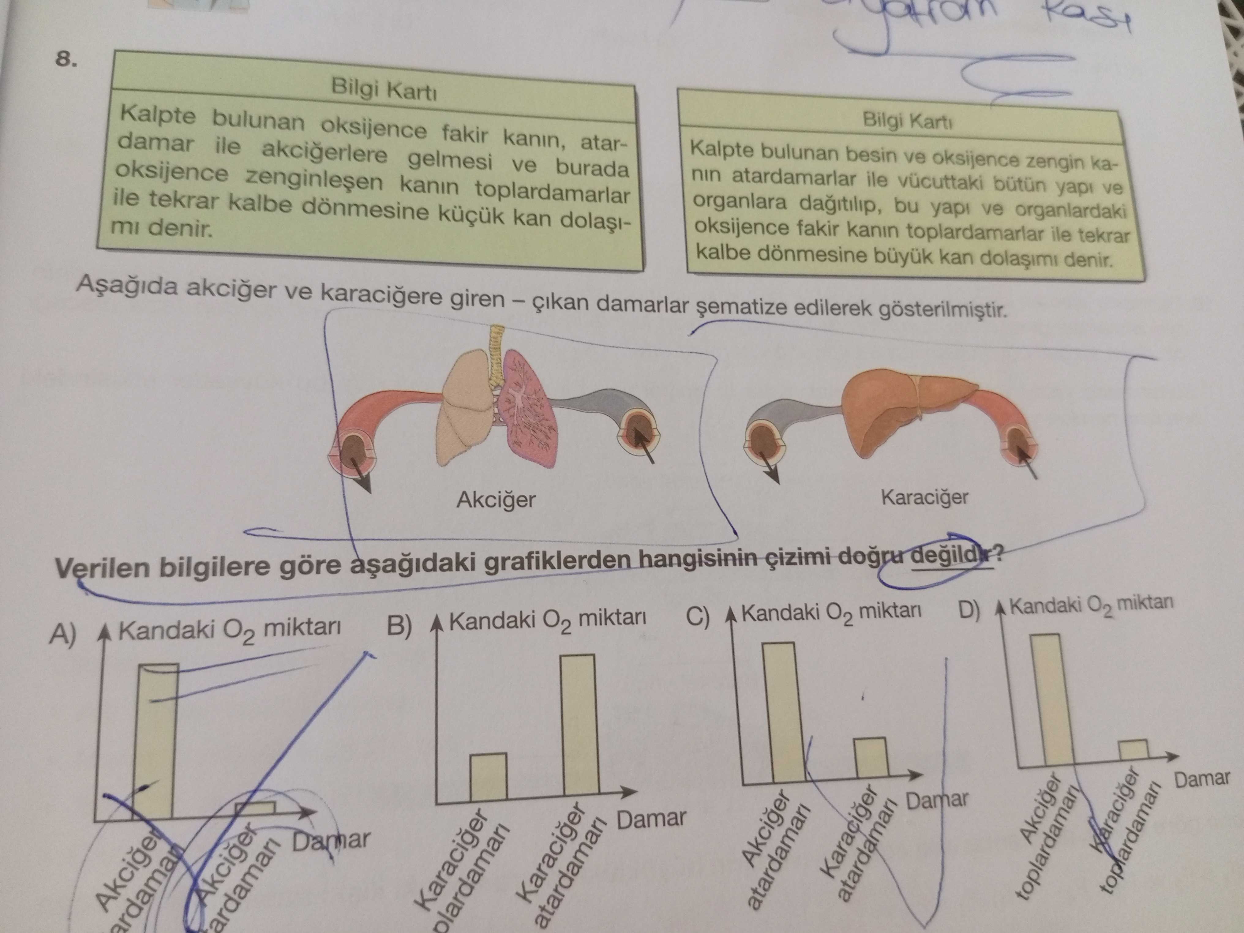 Fen Bilimleri (6. Sınıf)