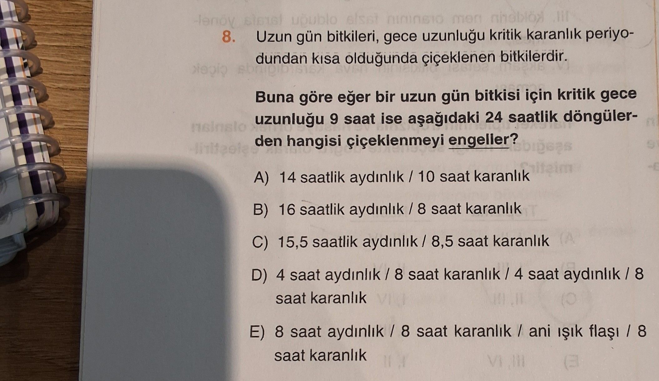 Uzun gün bitkileri, gece uzunluğu kritik karanlık periyodundan kısa olduğunda çiçeklenen