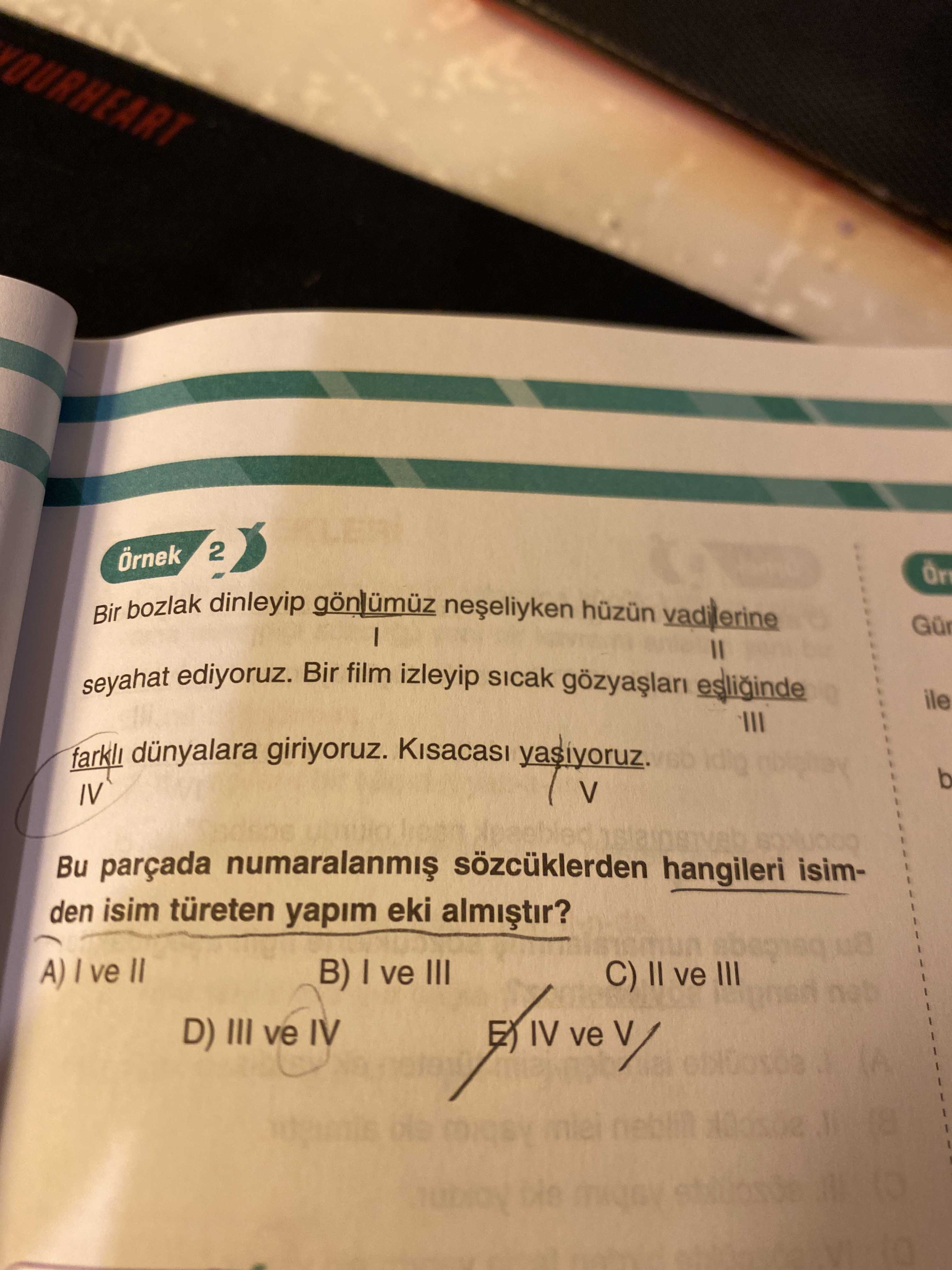 Türkçe (12. Sınıf)