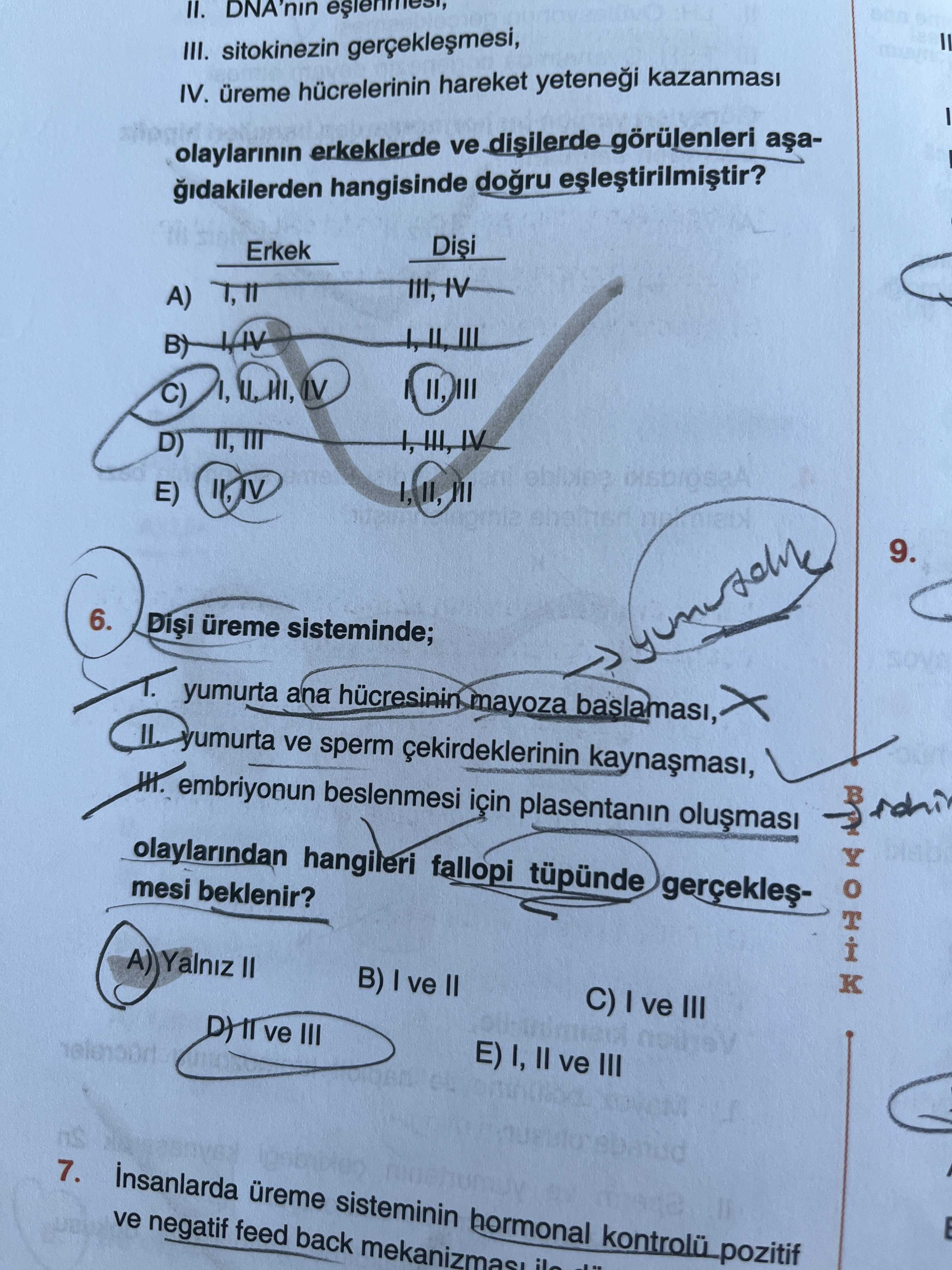 II. DNA'nın eşlenmesi, III. sitokinezin gerçekleşmesi, IV. üreme hücrelerinin hareket yeteneği