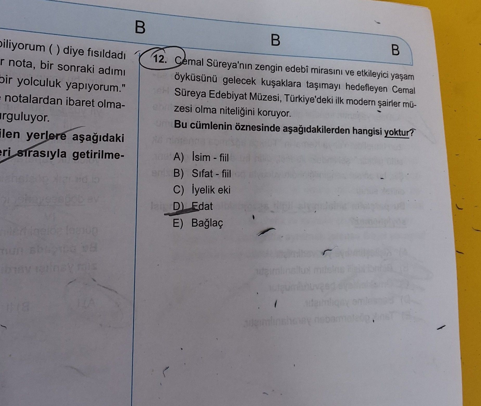 Cemal Süreya'nın zengin edebi mirasını ve etkileyici yaşam öyküsünü gelecek kuşaklara taşımayı