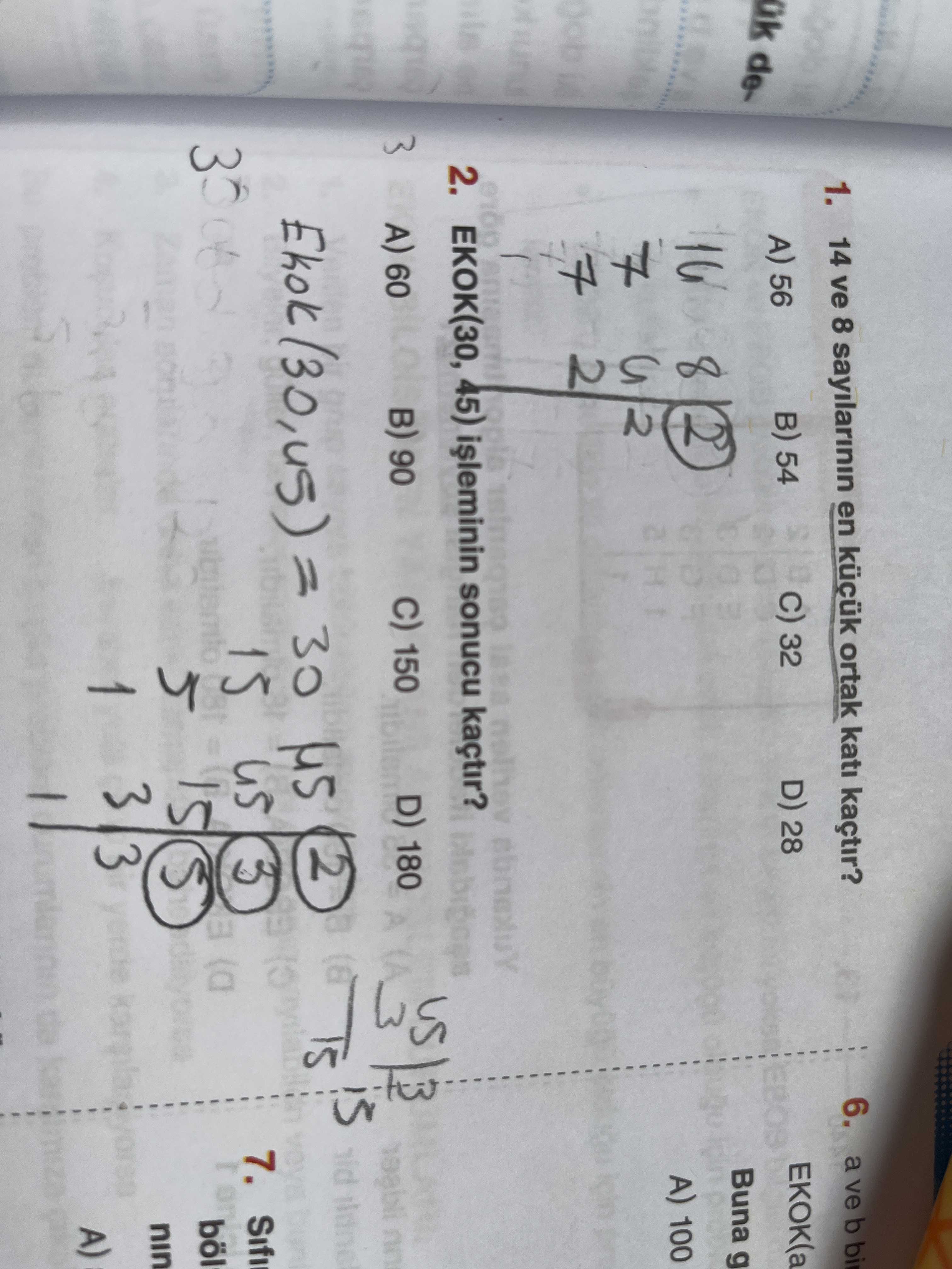 Matematik (8. Sınıf)
