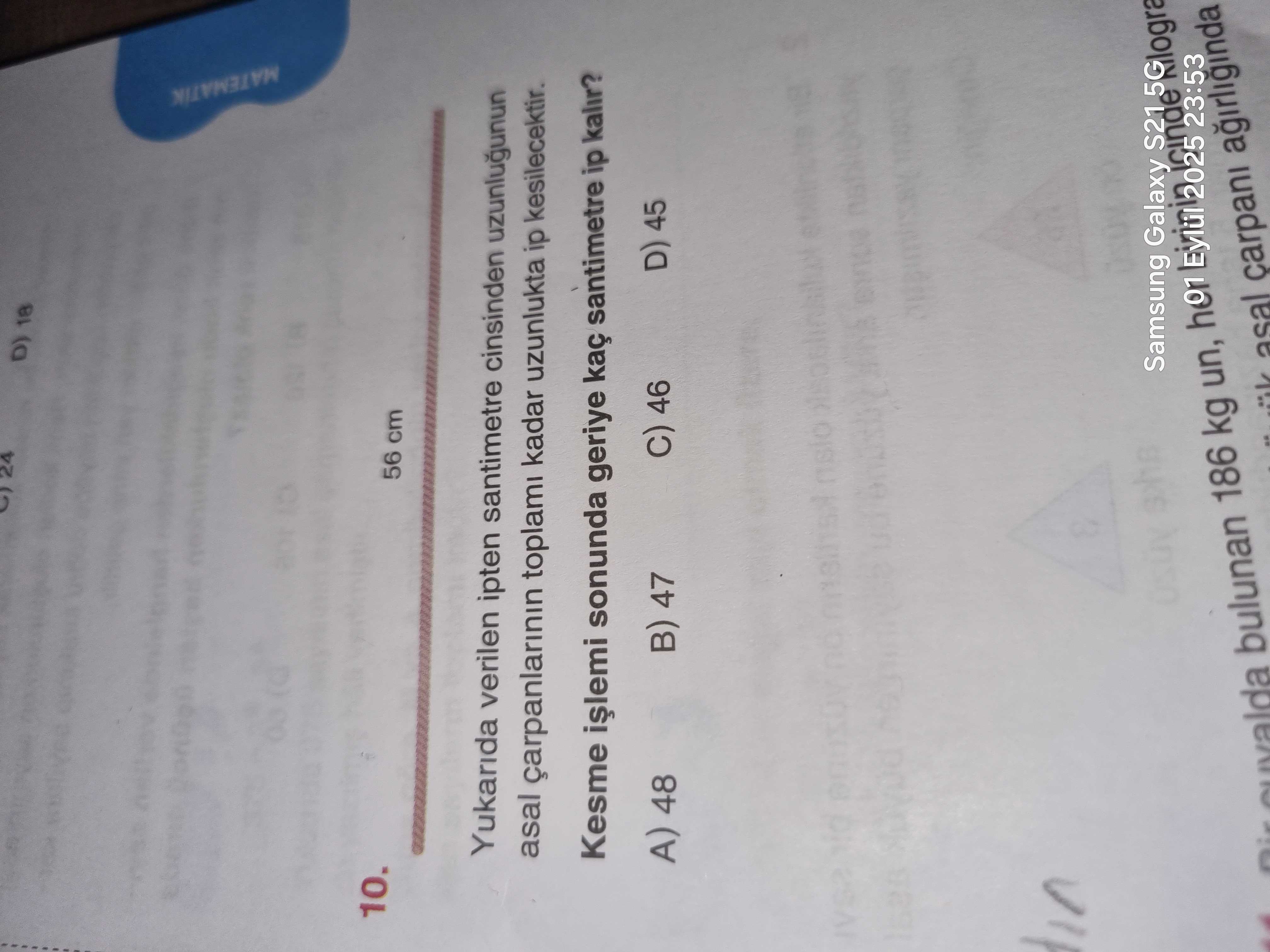 Matematik (8. Sınıf)