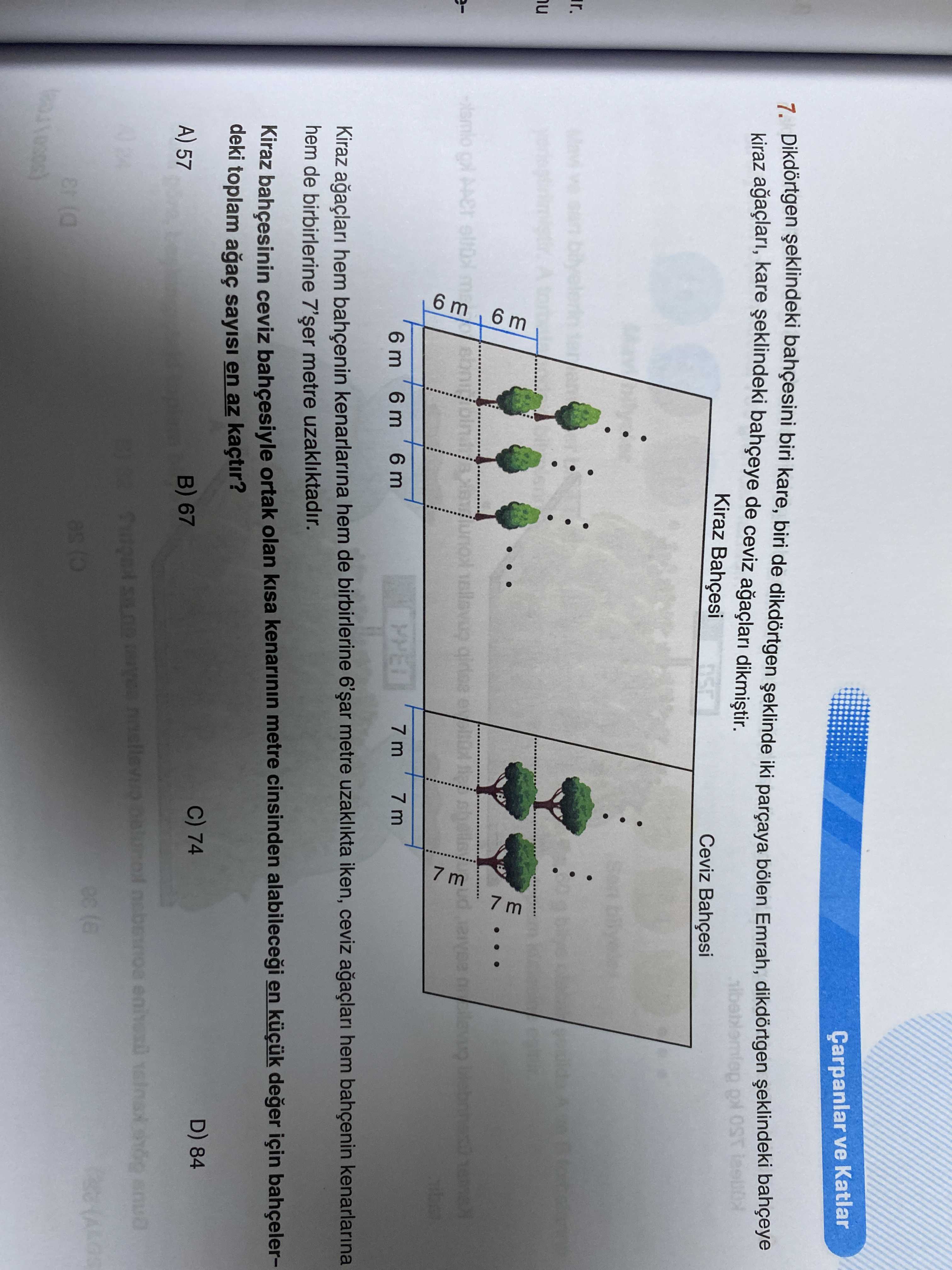 Matematik (8. Sınıf)