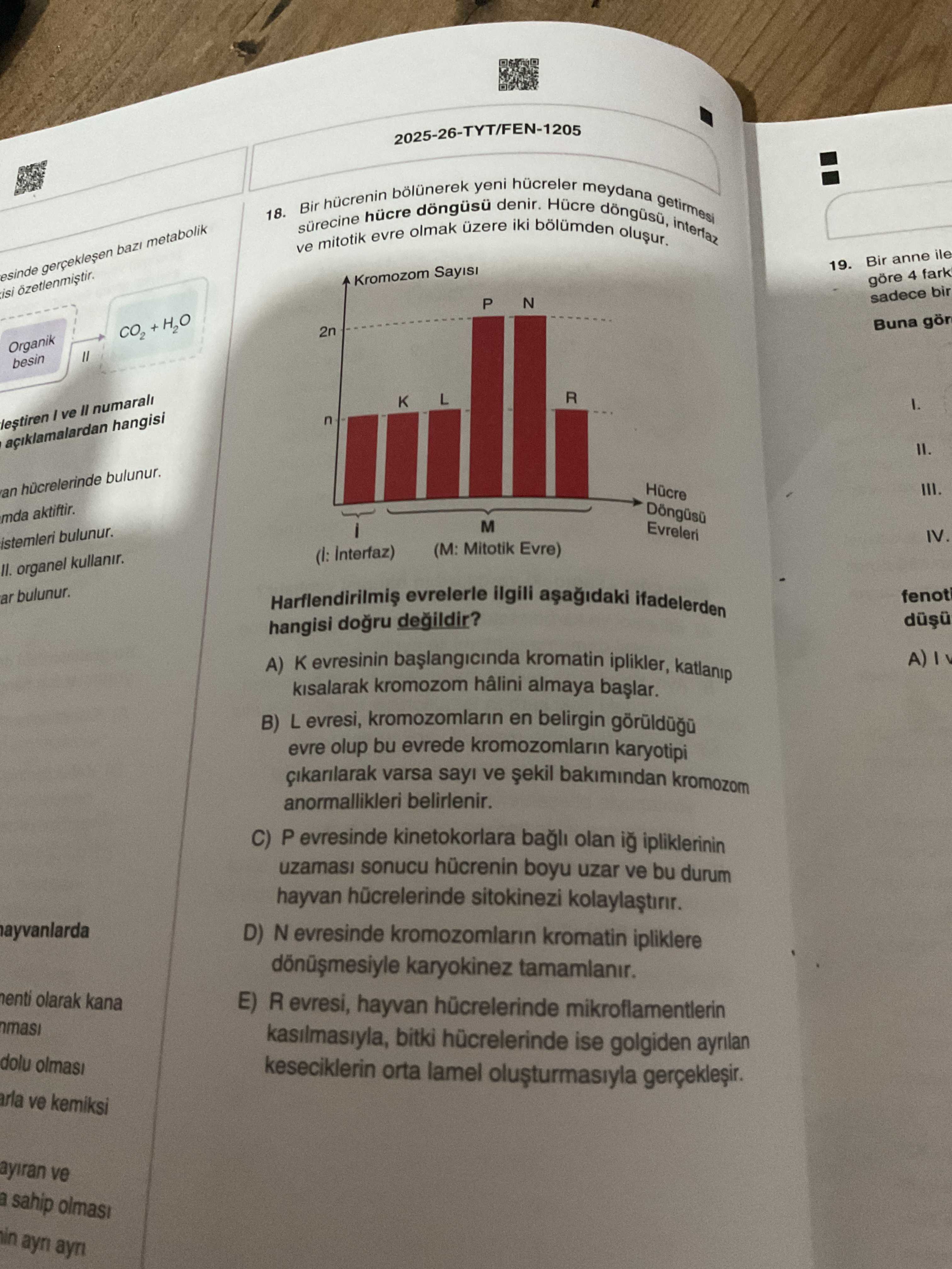 Bir hücrenin bölünerek yeni hücreler meydana getirmesi sürecine hücre döngüsü denir. Hücre döngüsü