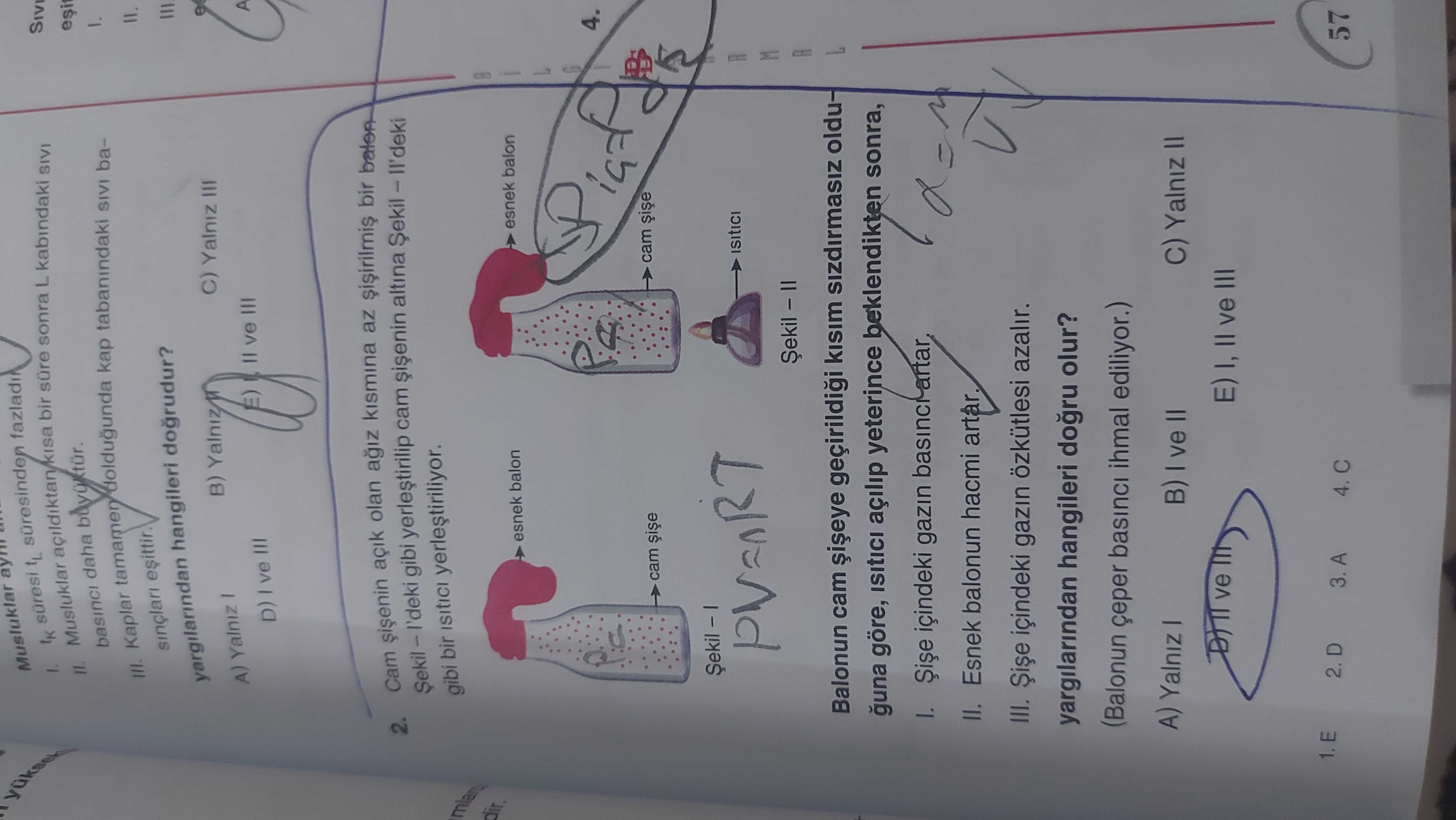 Fizik (12. Sınıf)