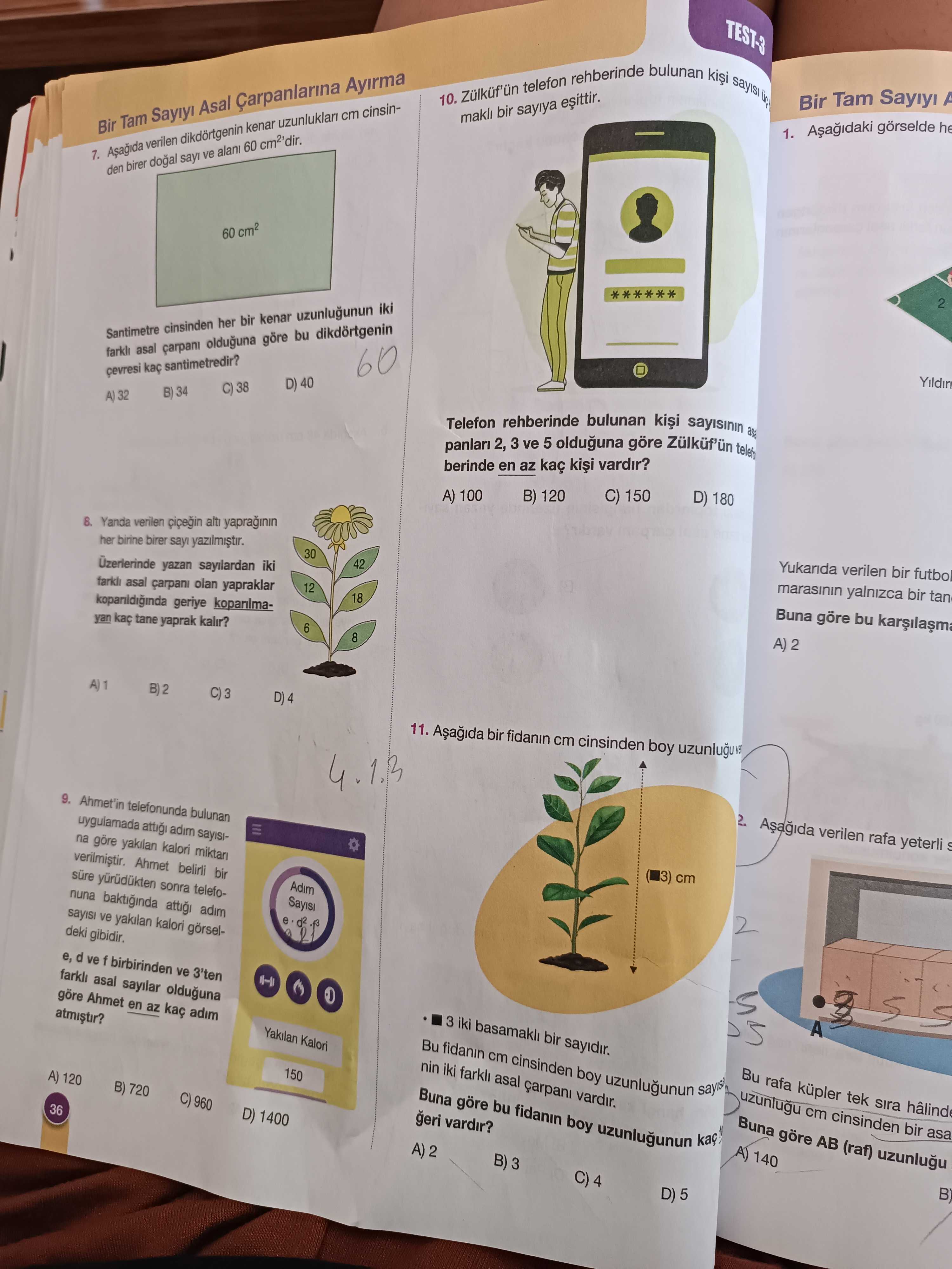 Matematik (8. Sınıf)