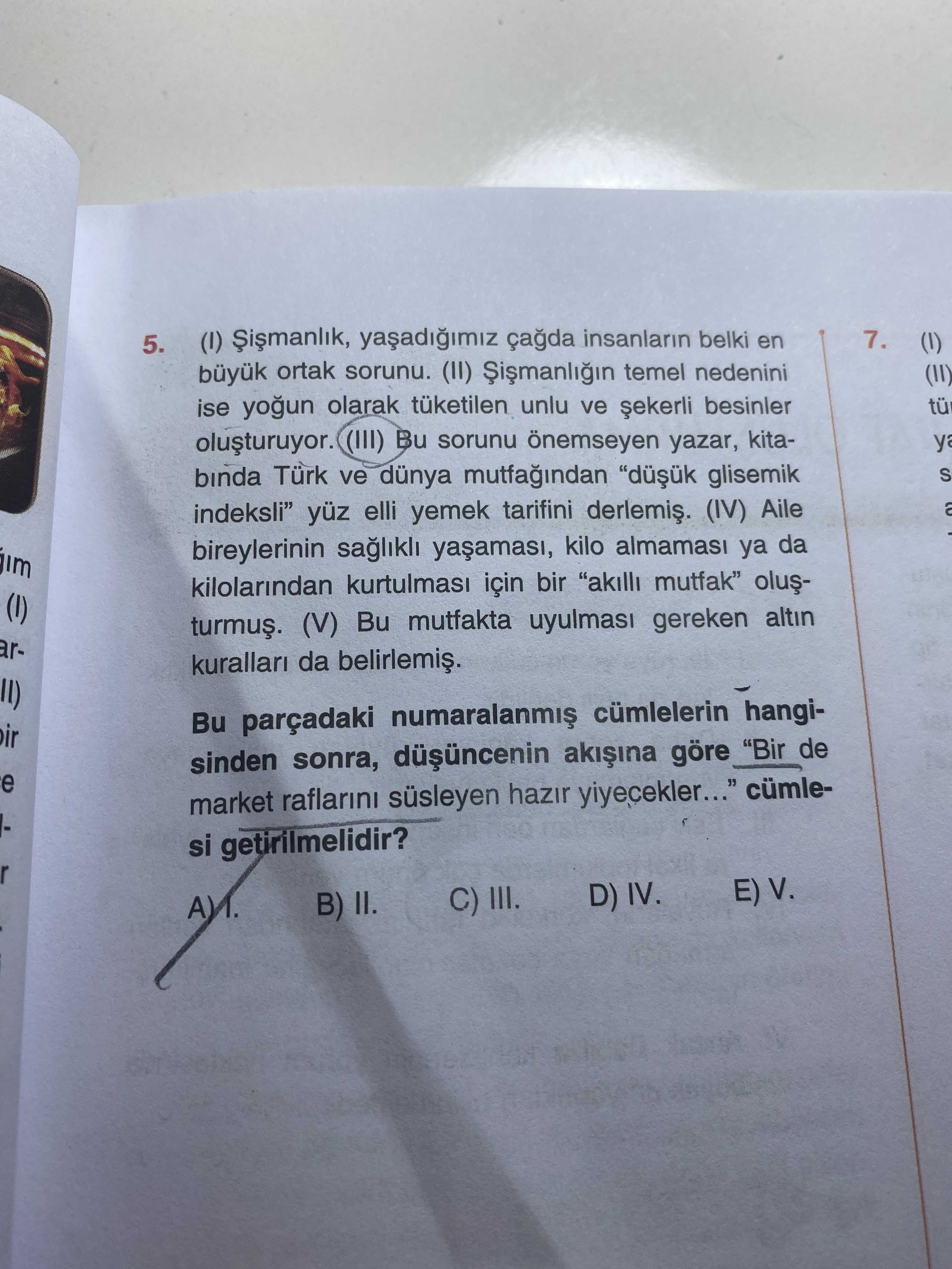 Türkçe (12. Sınıf)
