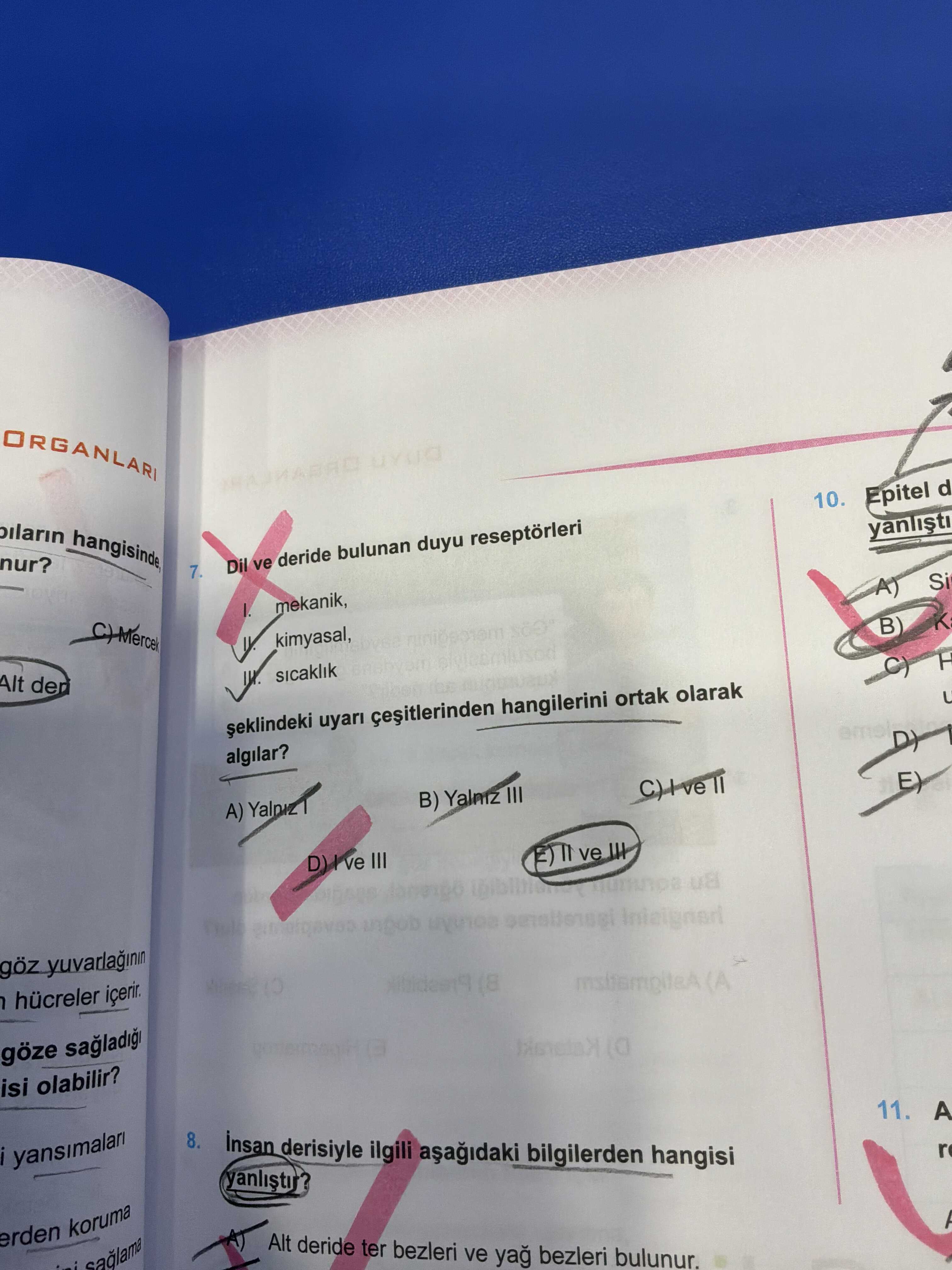 Dil ve deride bulunan duyu reseptörleri 7. I. mekanik, II. kimyasal, III. sıcaklık şeklindeki uyarı