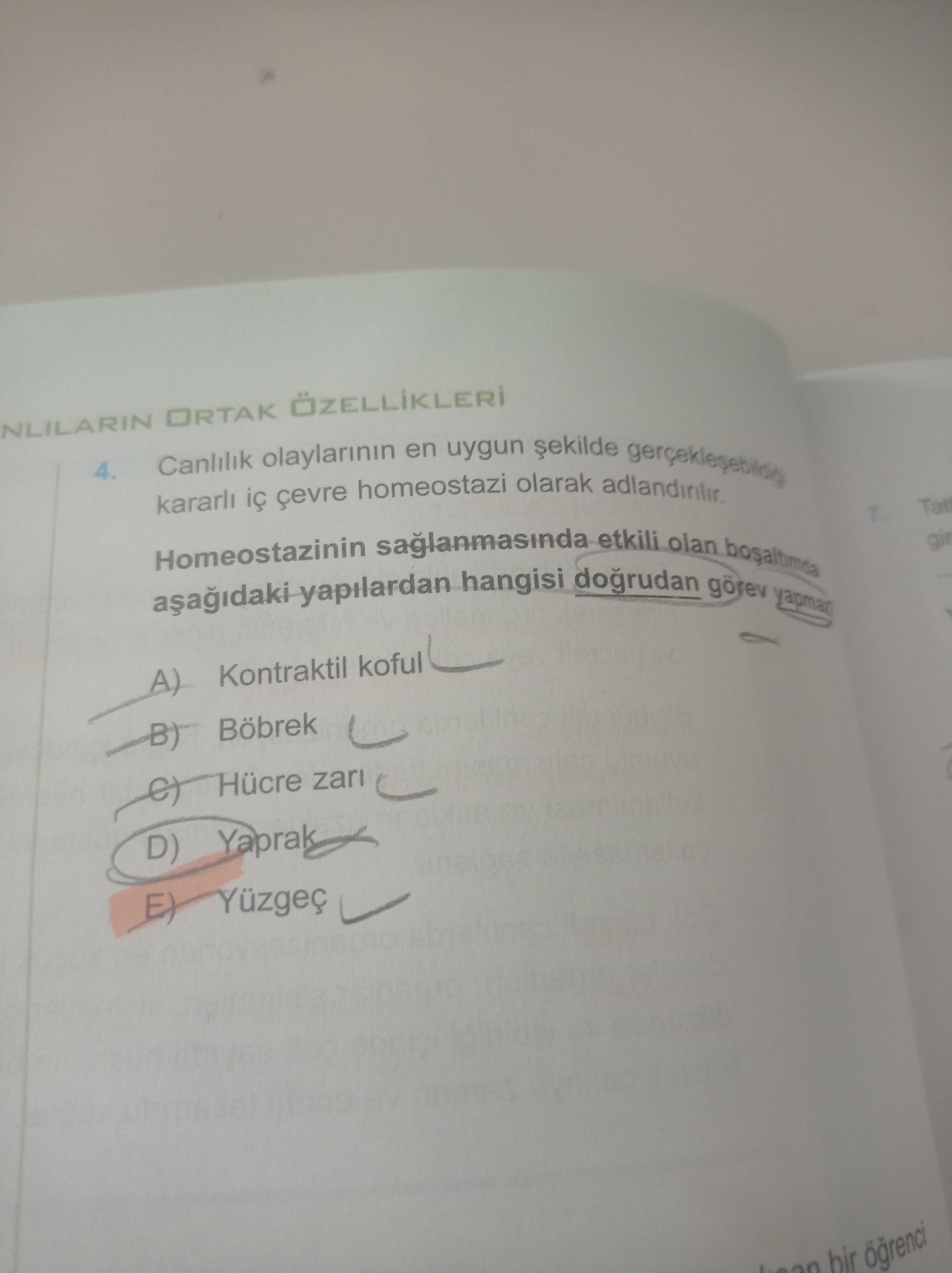 Canlılık olaylarının en uygun şekilde gerçekleşebildiği kararlı iç çevre homeostazi olarak