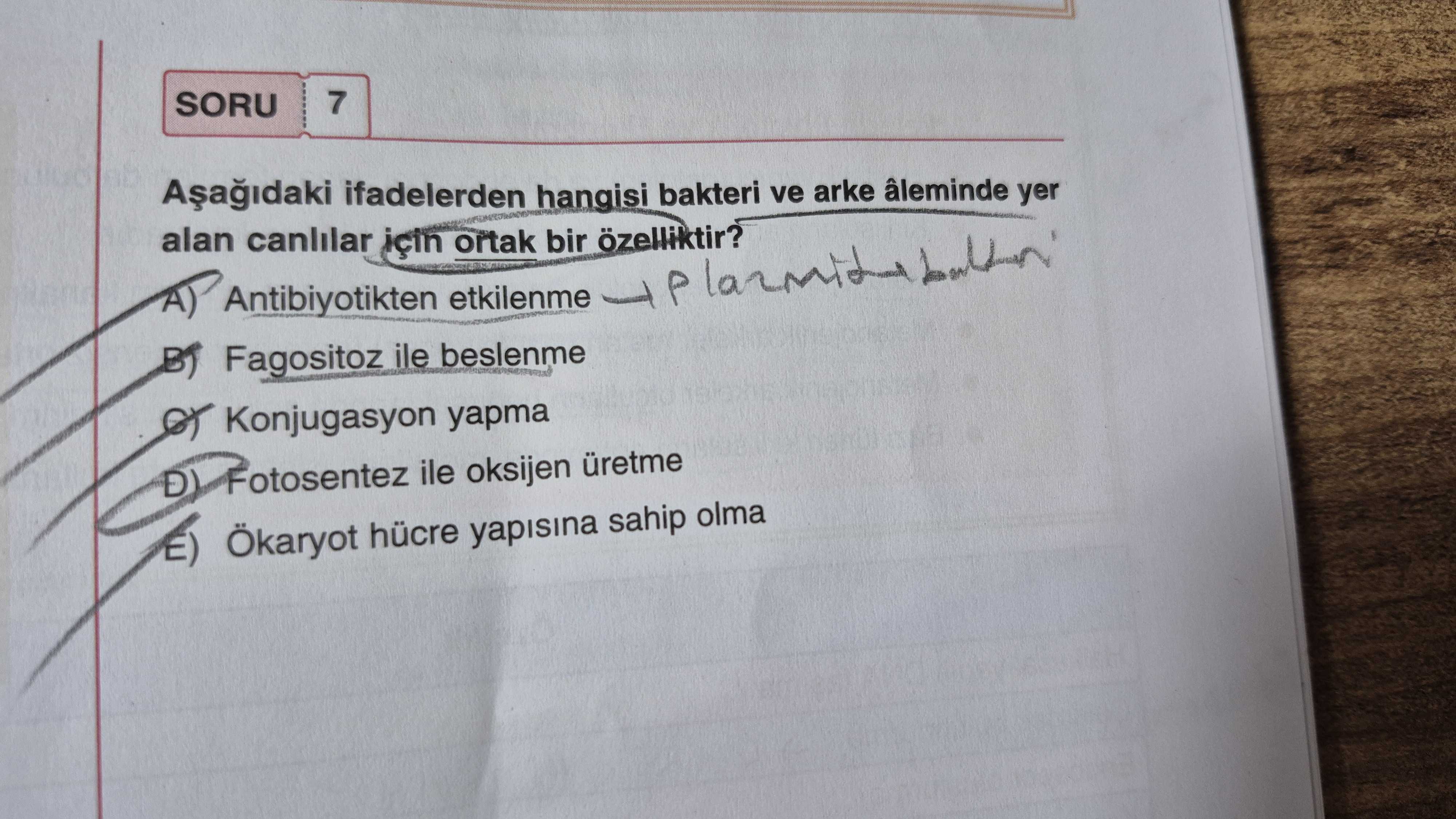 Aşağıdaki ifadelerden hangisi bakteri ve arke âleminde yer alan canlılar için ortak bir özelliktir?