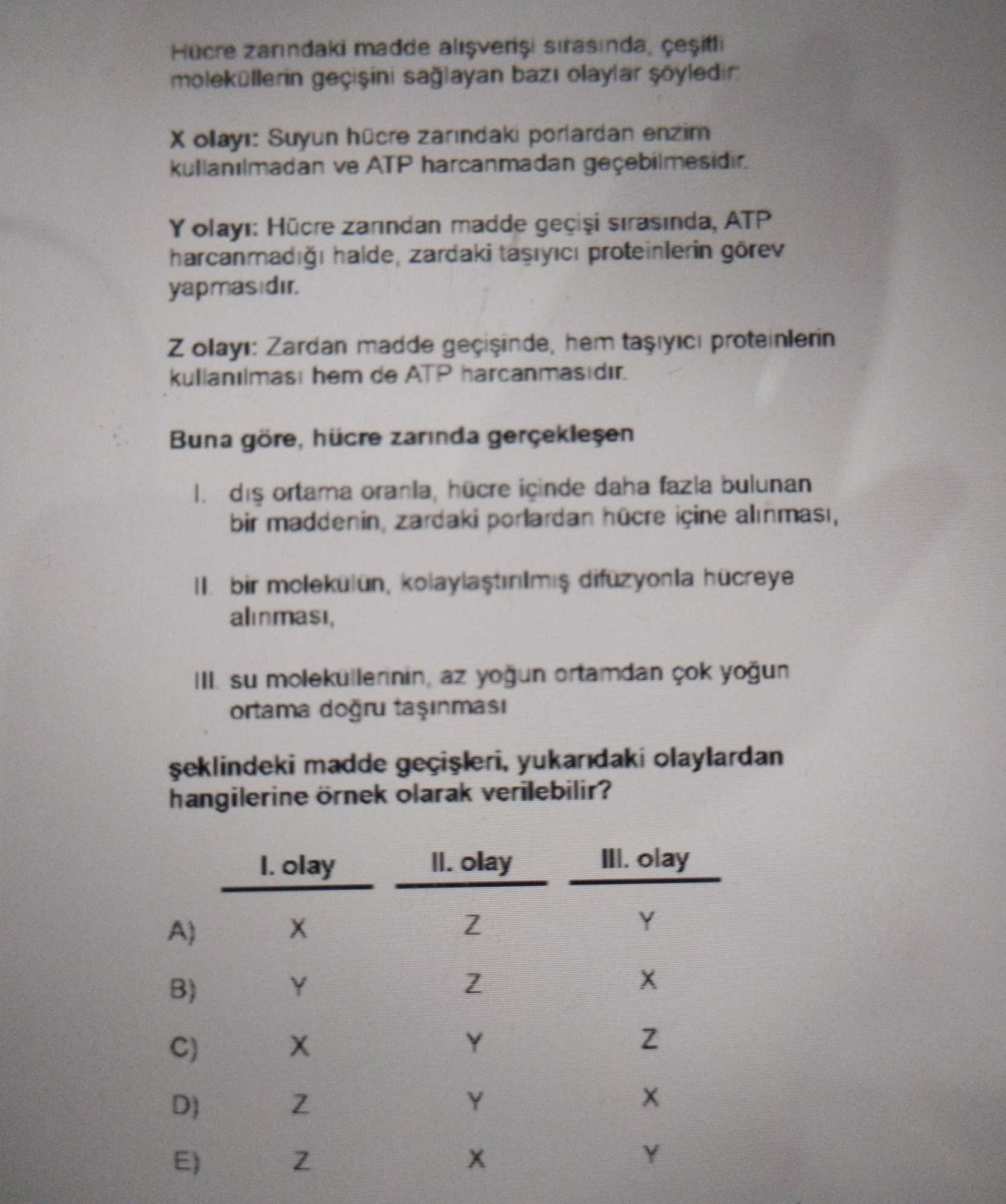 Hücre zarındaki madde alışverişi sırasında, çeşitli moleküllerin geçişini sağlayan bazı olaylar şöyledir: X olayı: Suyun hücre