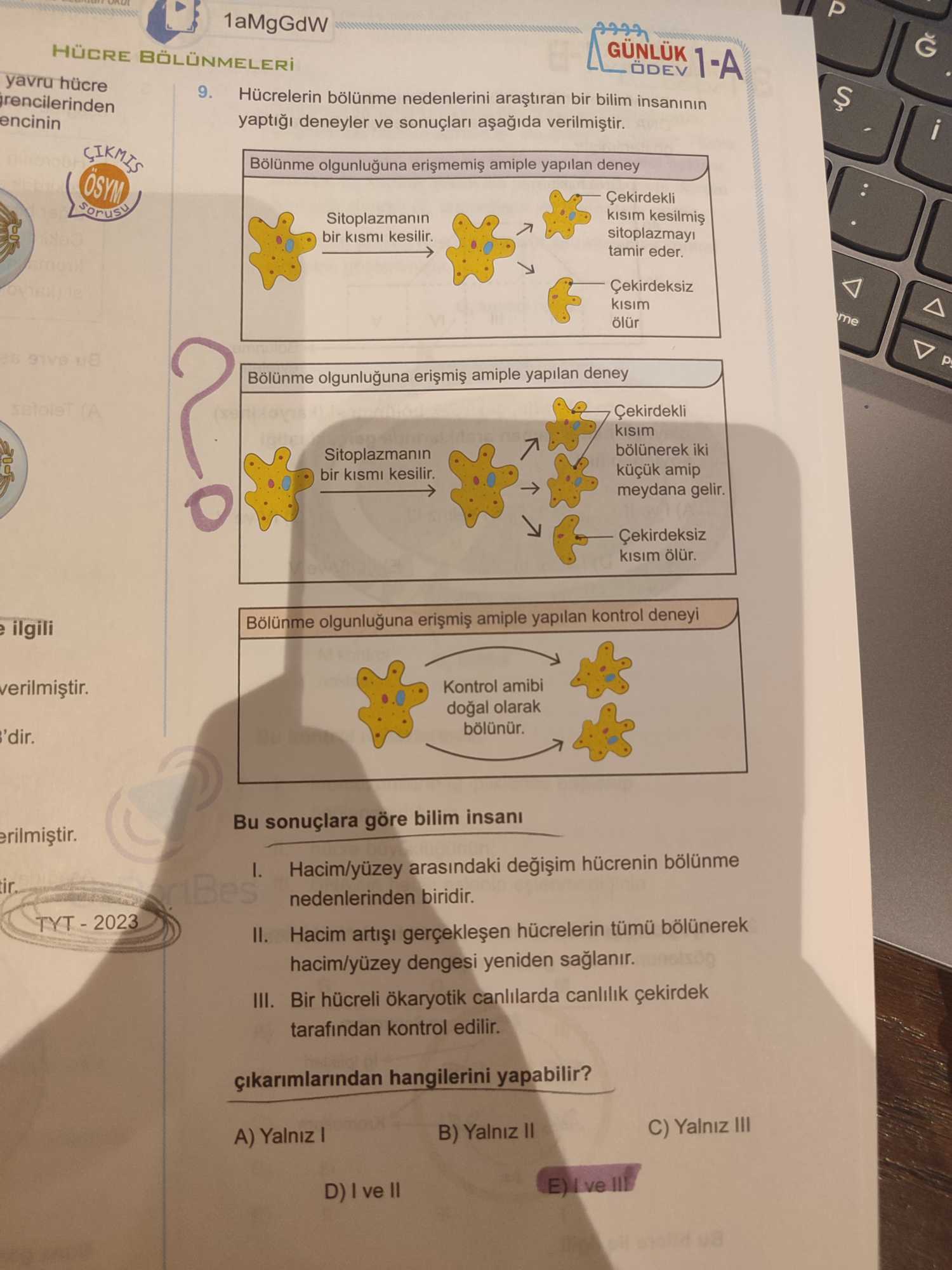 Hücrelerin bölünme nedenlerini araştıran bir bilim insanının yaptığı deneyler ve sonuçları aşağıda