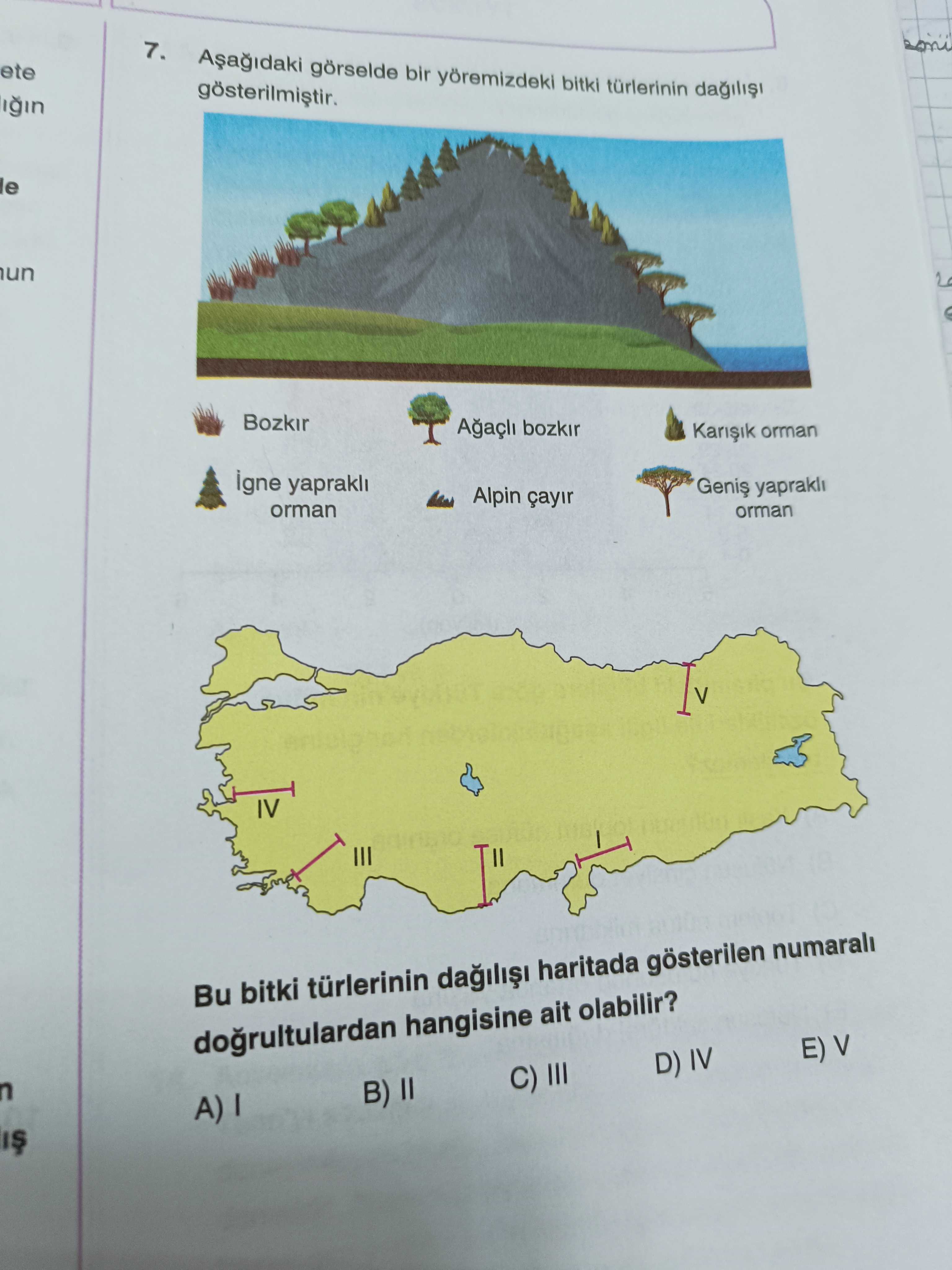Aşağıdaki görselde bir yöremizedki bitki türlerinin dağılışı gösterilmiştir. Bu bitki türlerinin dağılışı haritada gösterilen