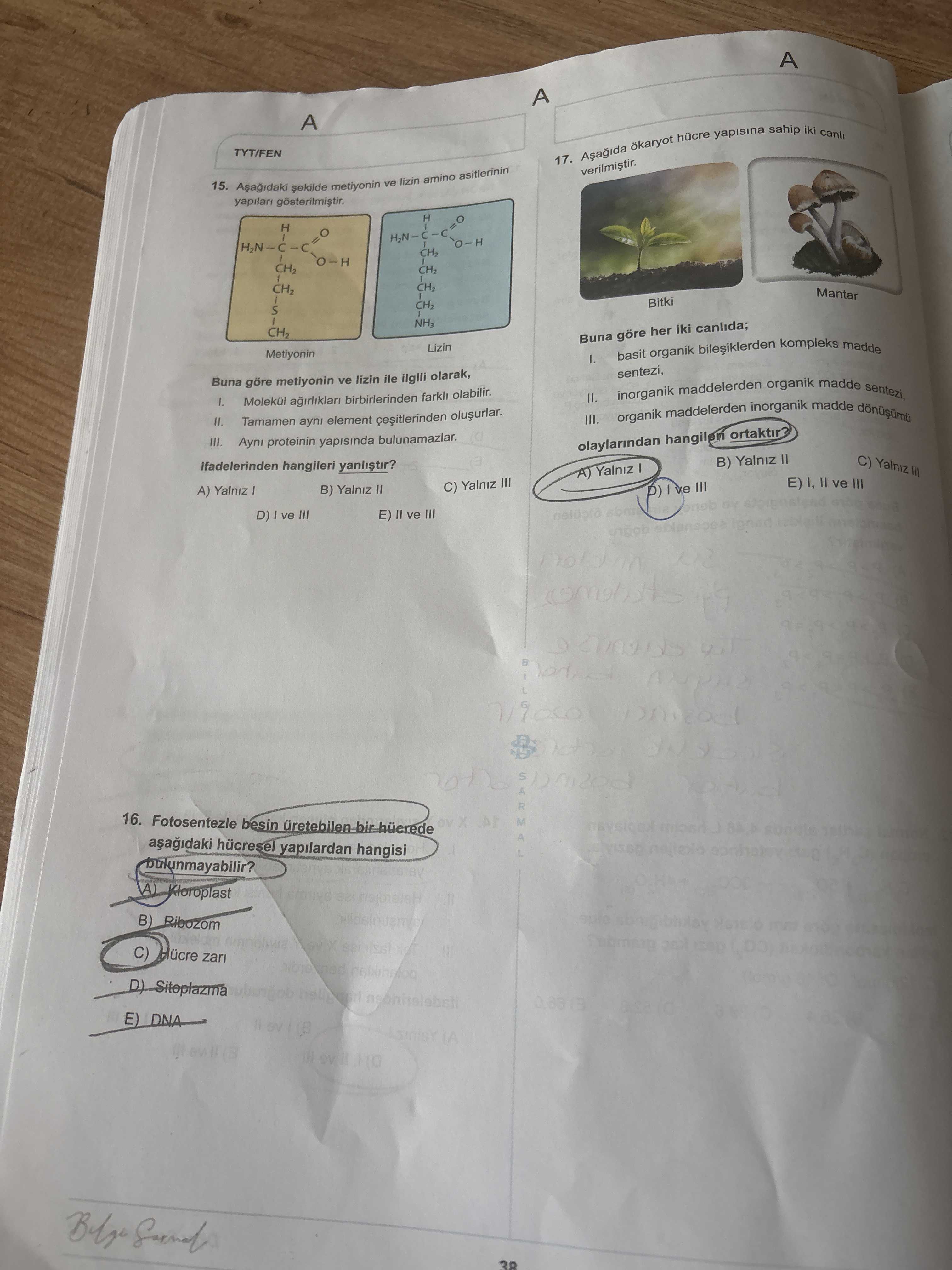 Aşağıdaki şekilde metiyonin ve lizin amino asitlerinin yapıları gösterilmiştir. Buna göre metiyonin