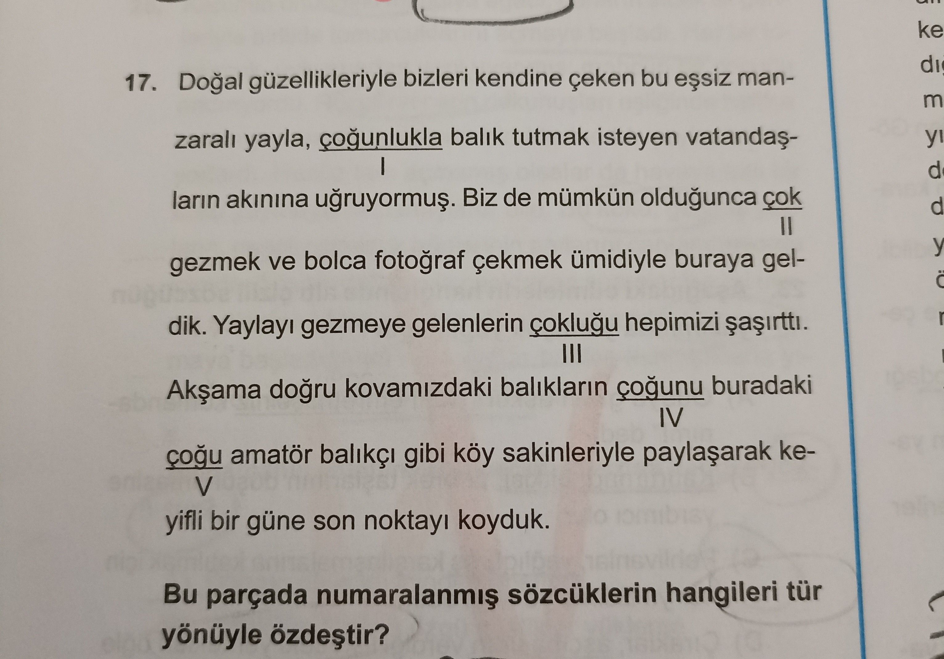 Doğal güzellikleriyle bizleri kendine çeken bu eşsiz manzaralı yayla, çoğunlukla balık tutmak