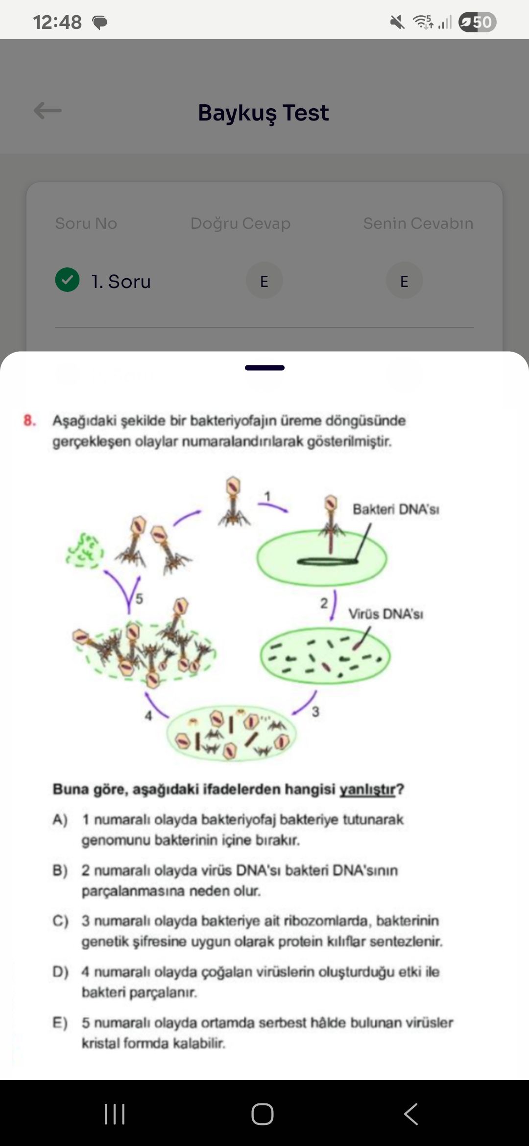 Biyoloji (12. Sınıf)