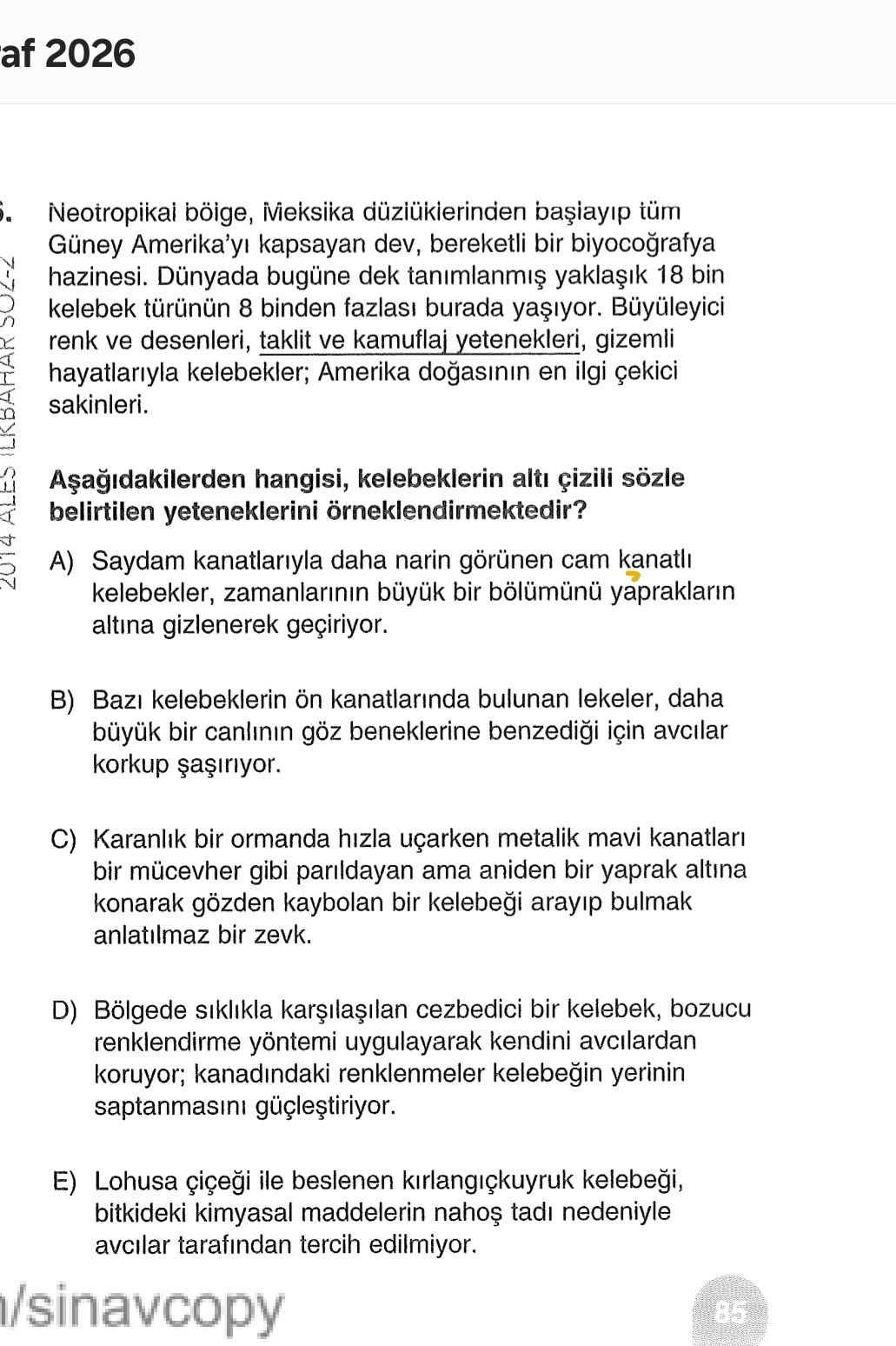 Neotropikal bölge, Meksika düzlüklerinden başlayıp tüm Güney Amerika'yı kapsayan dev, bereketli bir