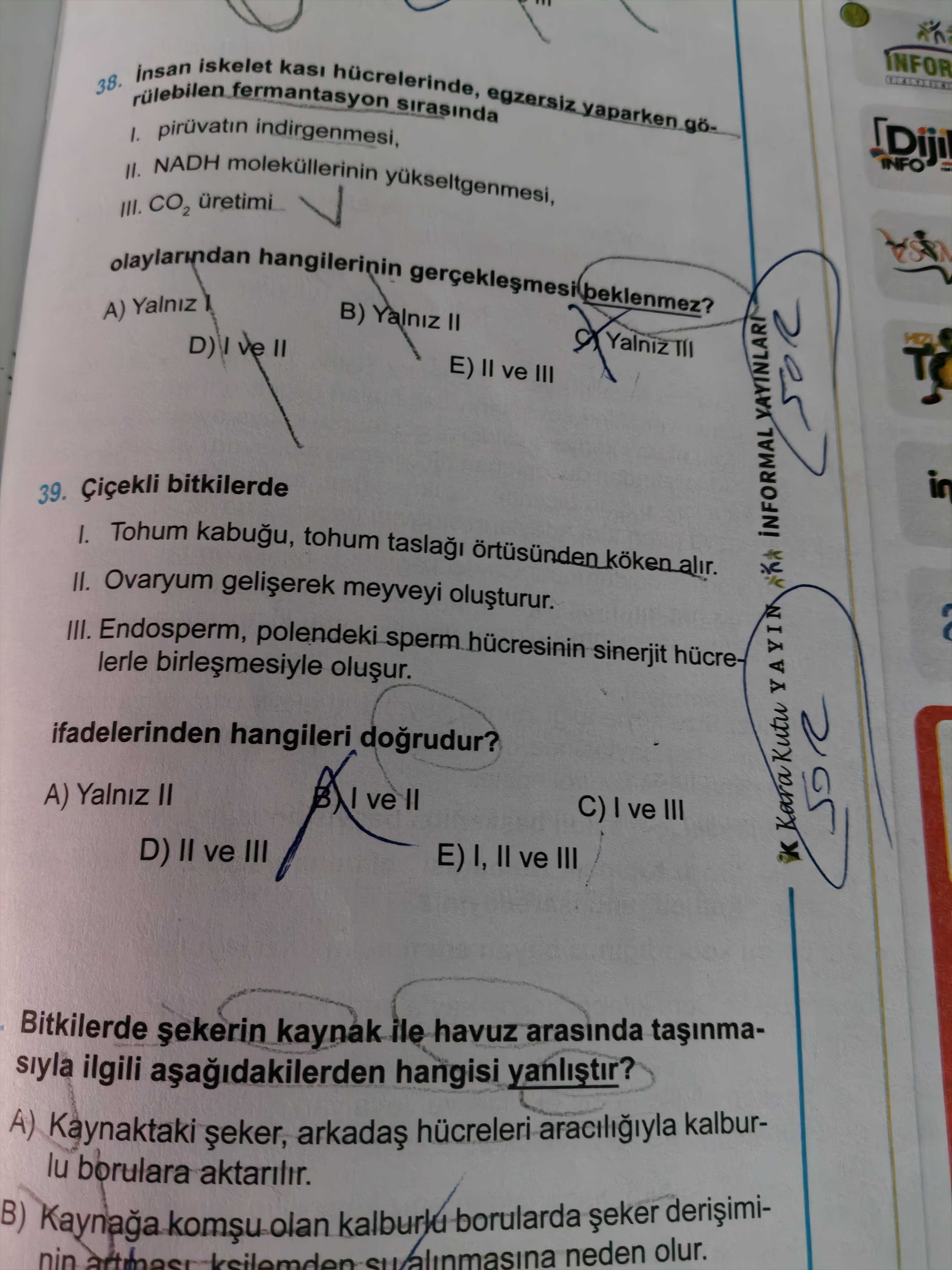 İnsan iskelet kası hücrelerinde, egzersiz yaparken gö­rülebilen fermantasyon sırasında I. pirüvatın