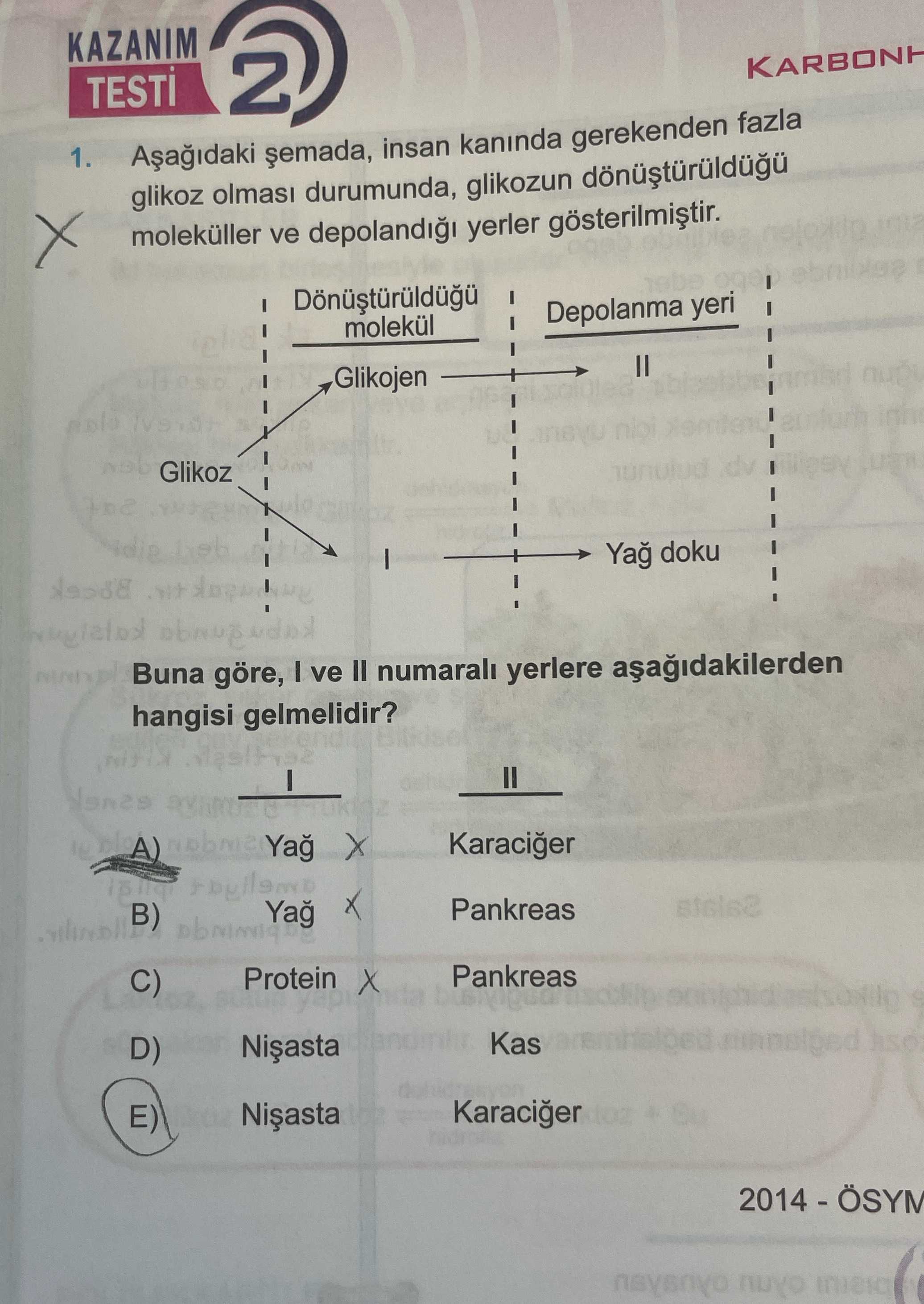 Aşağıdaki şemada, insan kanında gerekenden fazla glikoz olması durumunda, glikozun dönüştürüldüğü
