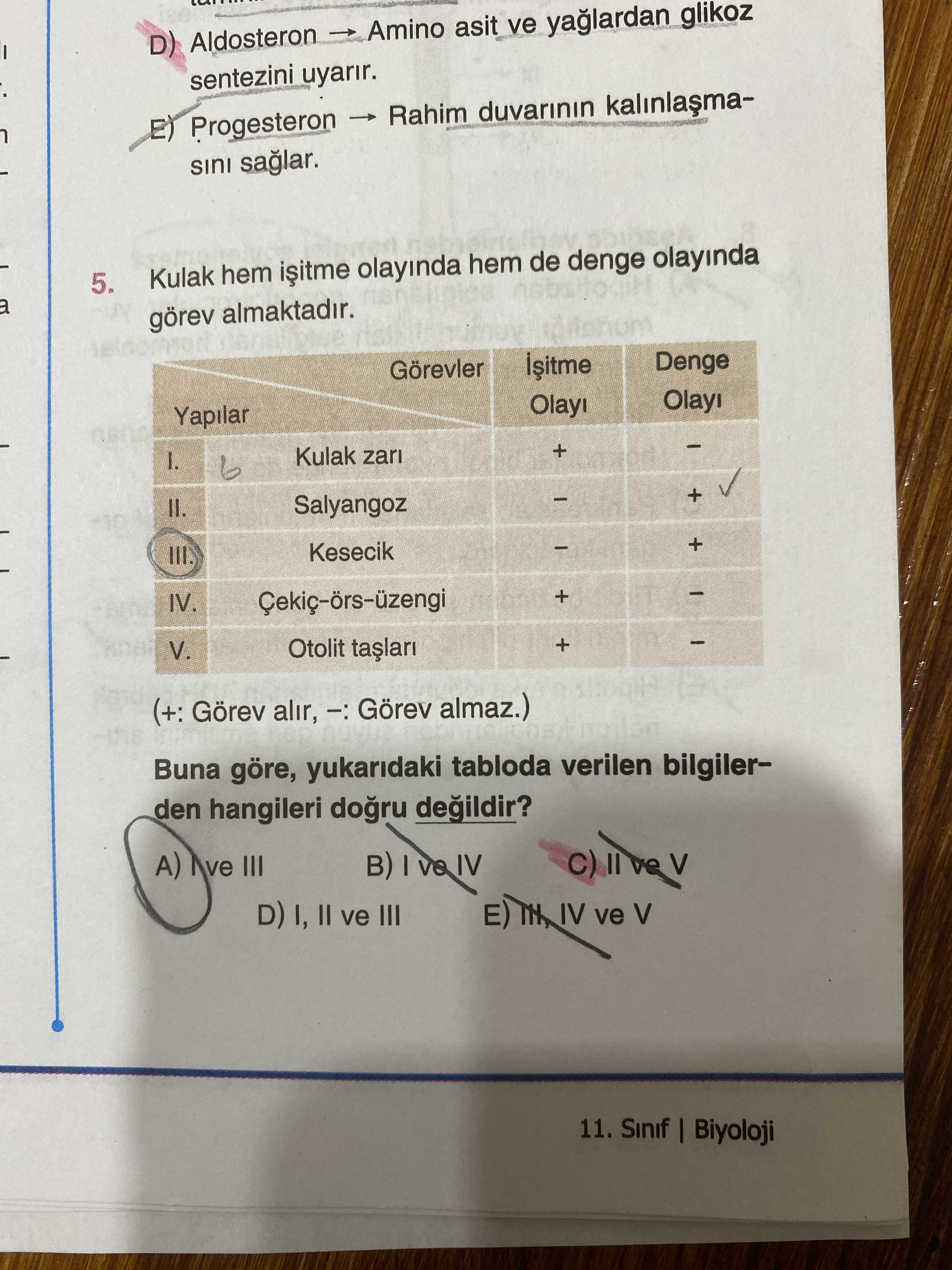 Kulak hem işitme olayında hem de denge olayında görev almaktadır. | Yapılar | Görevler | İşitme