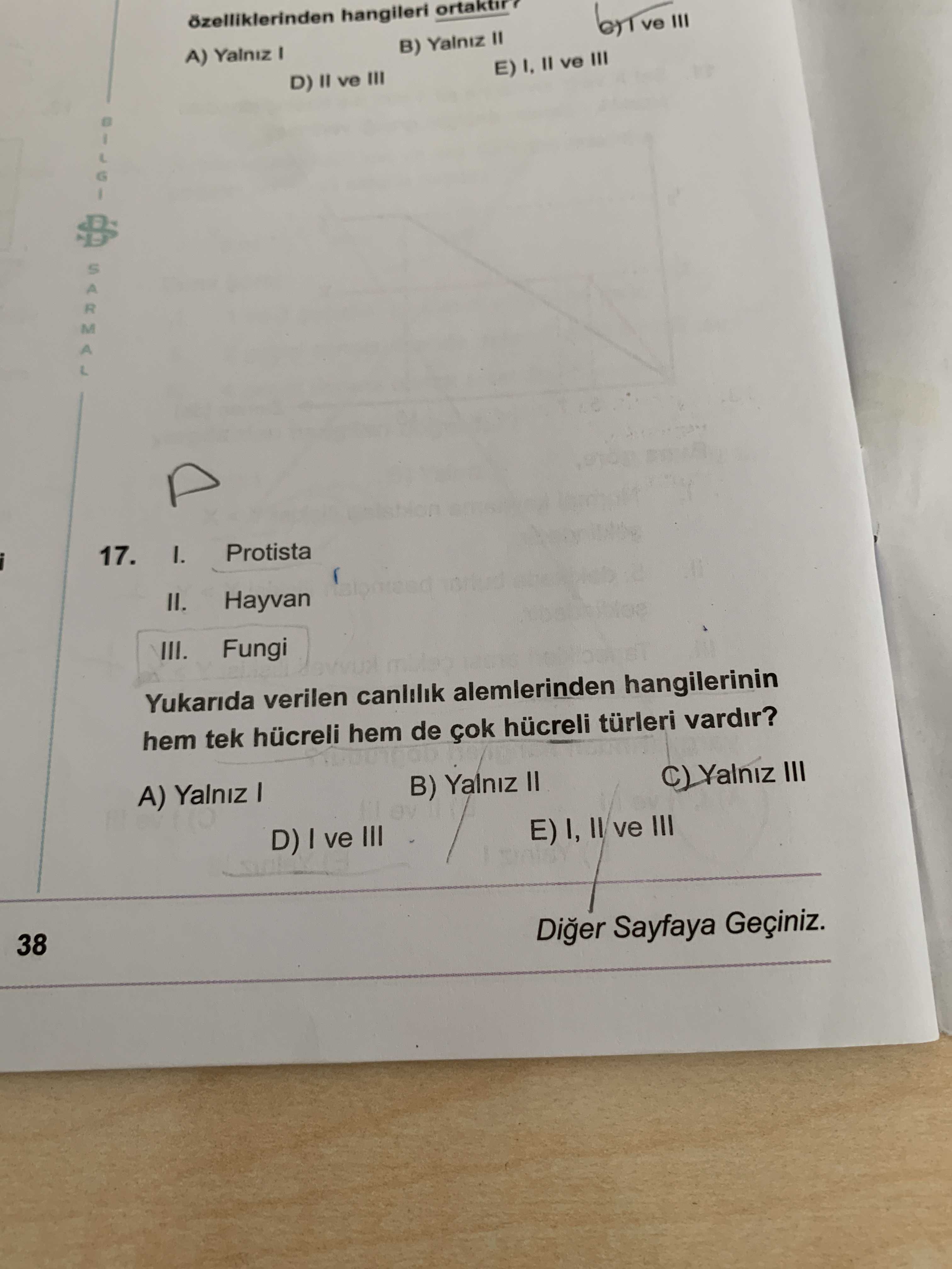 I. Protista II. Hayvan III. Fungi Yukarıda verilen canlılık alemlerinden hangilerinin hem tek